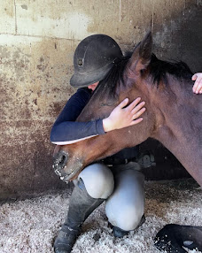 A great home for you + your horse!