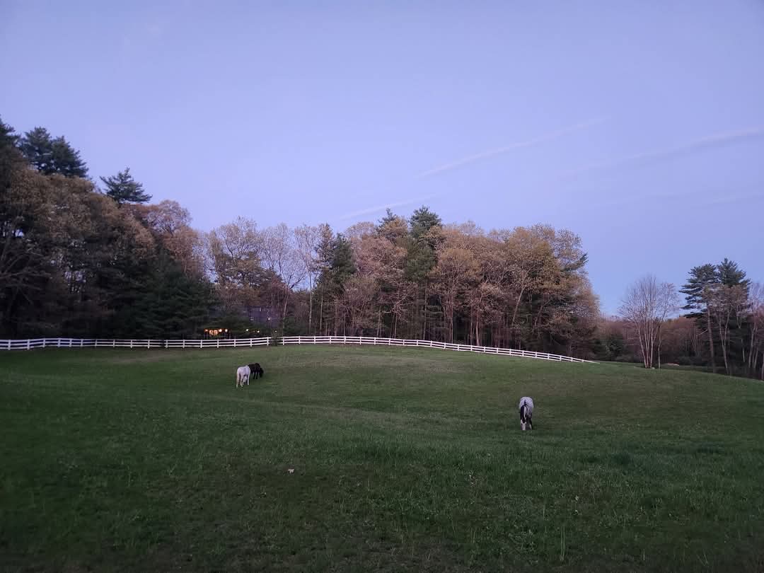 Pasture