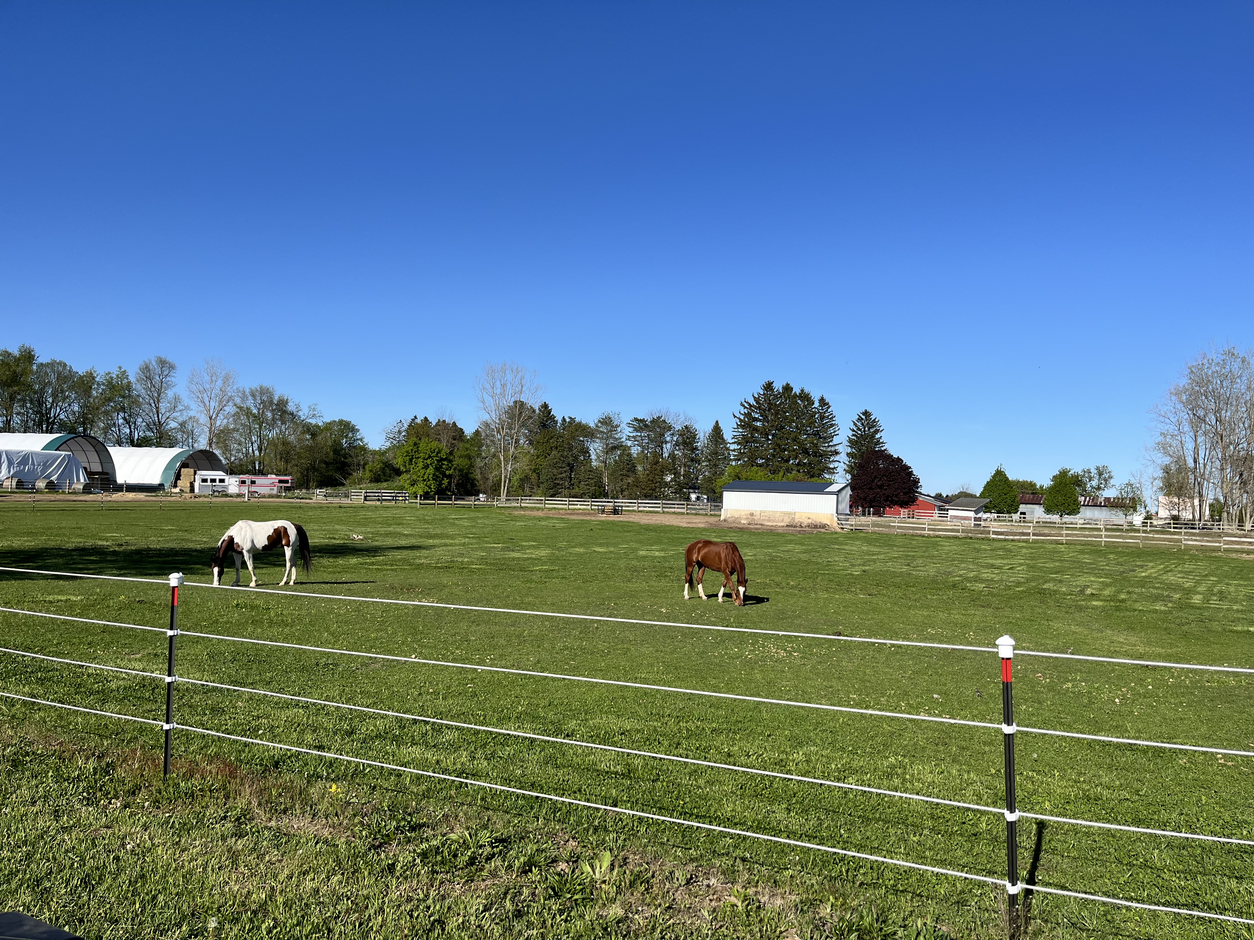 Grazing