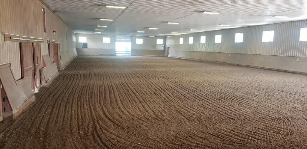 Arena