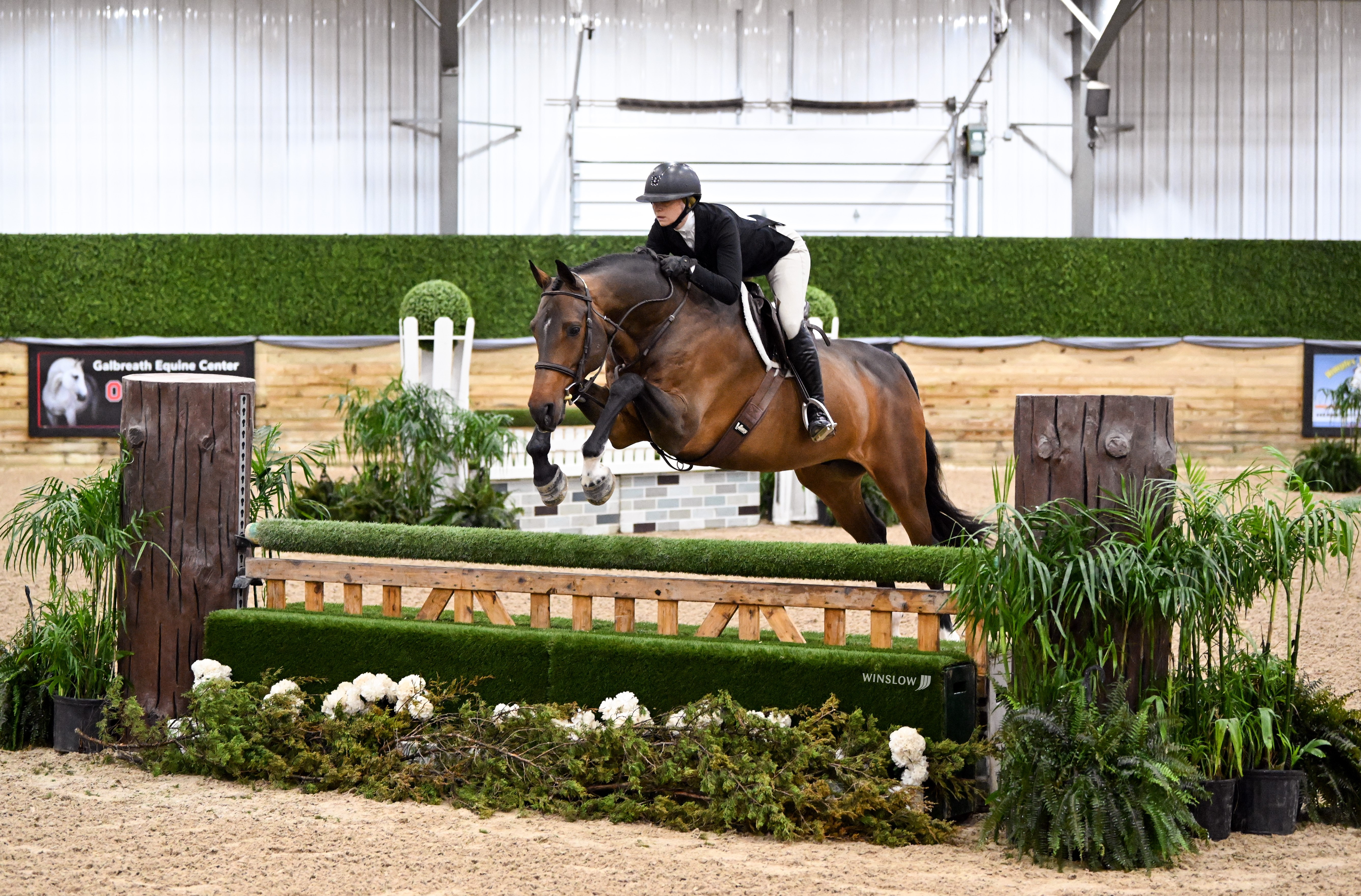 Top hunter, jumper, equitation training