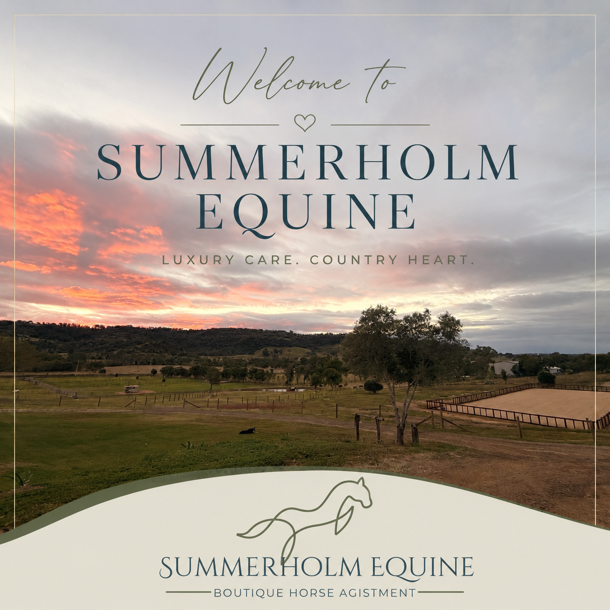 Summerholm Equine