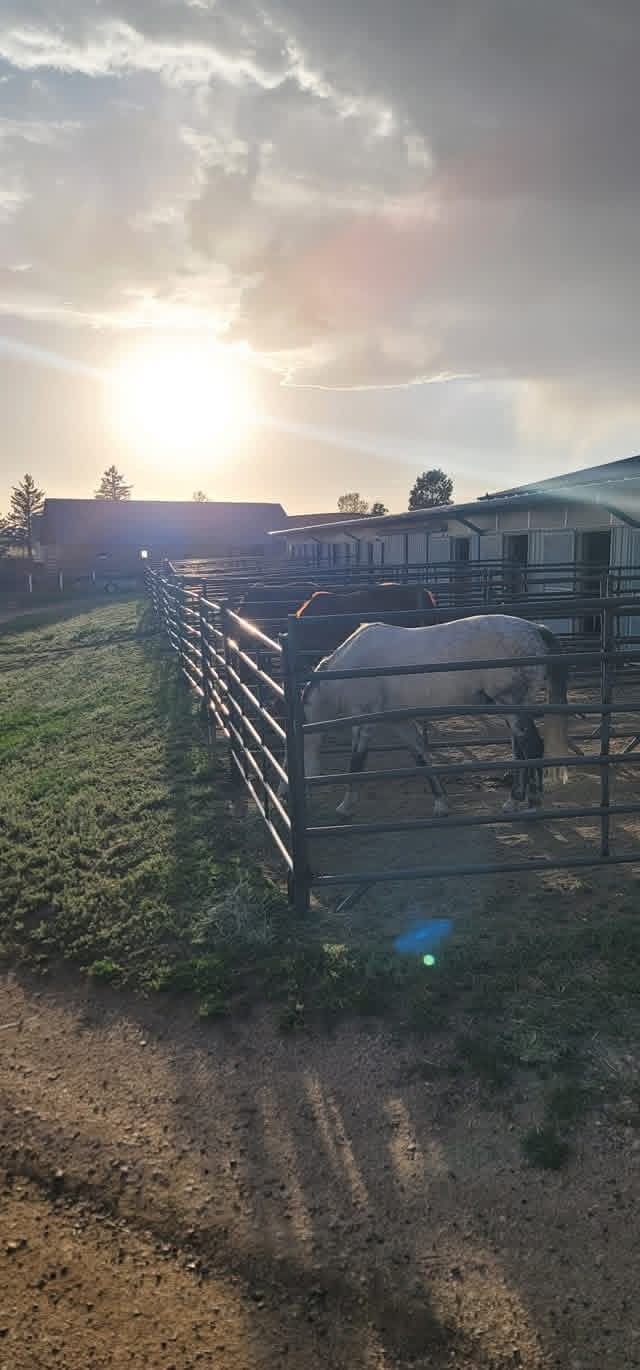 All stalls have runs!