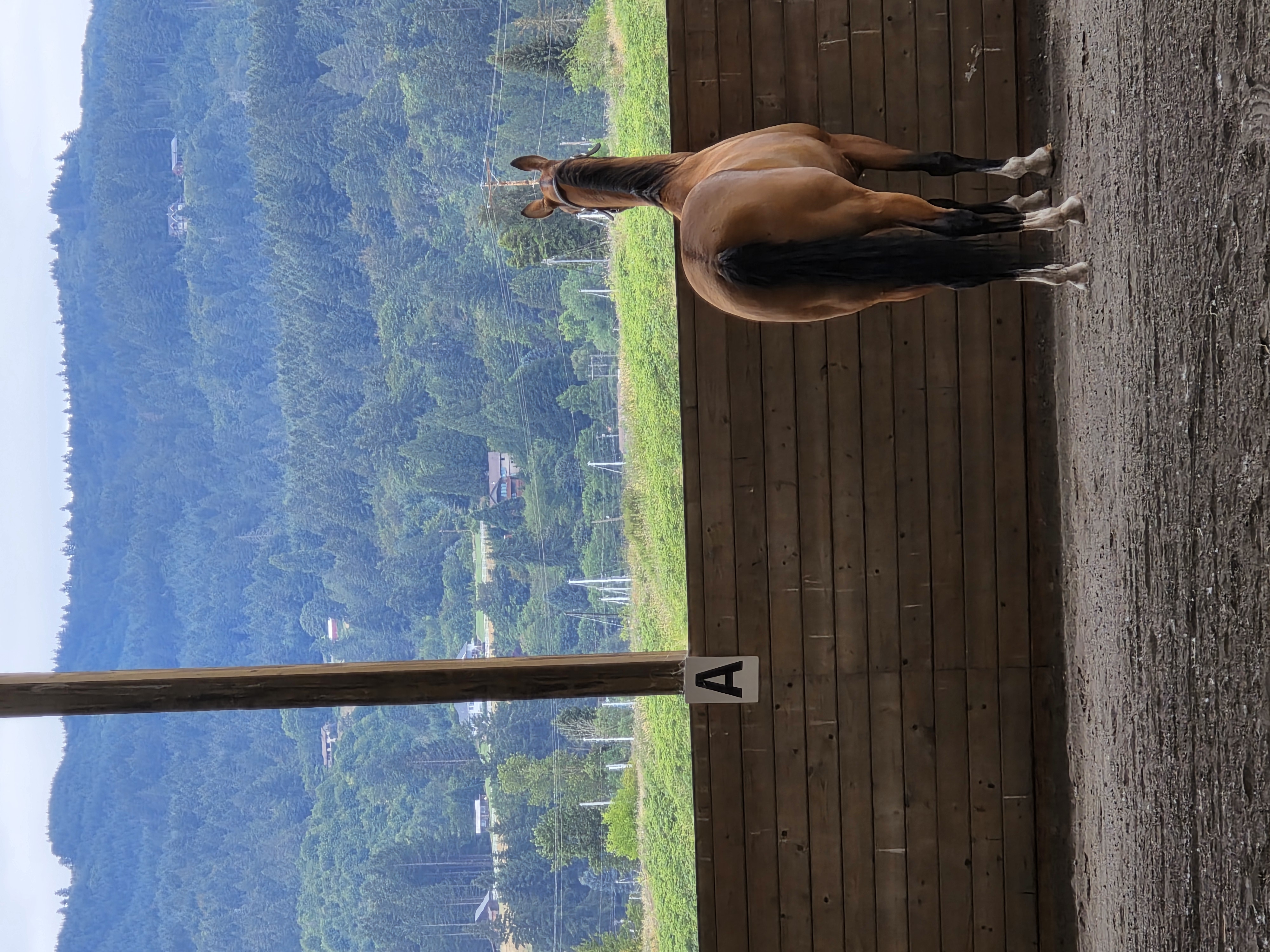 View from indoor arena
