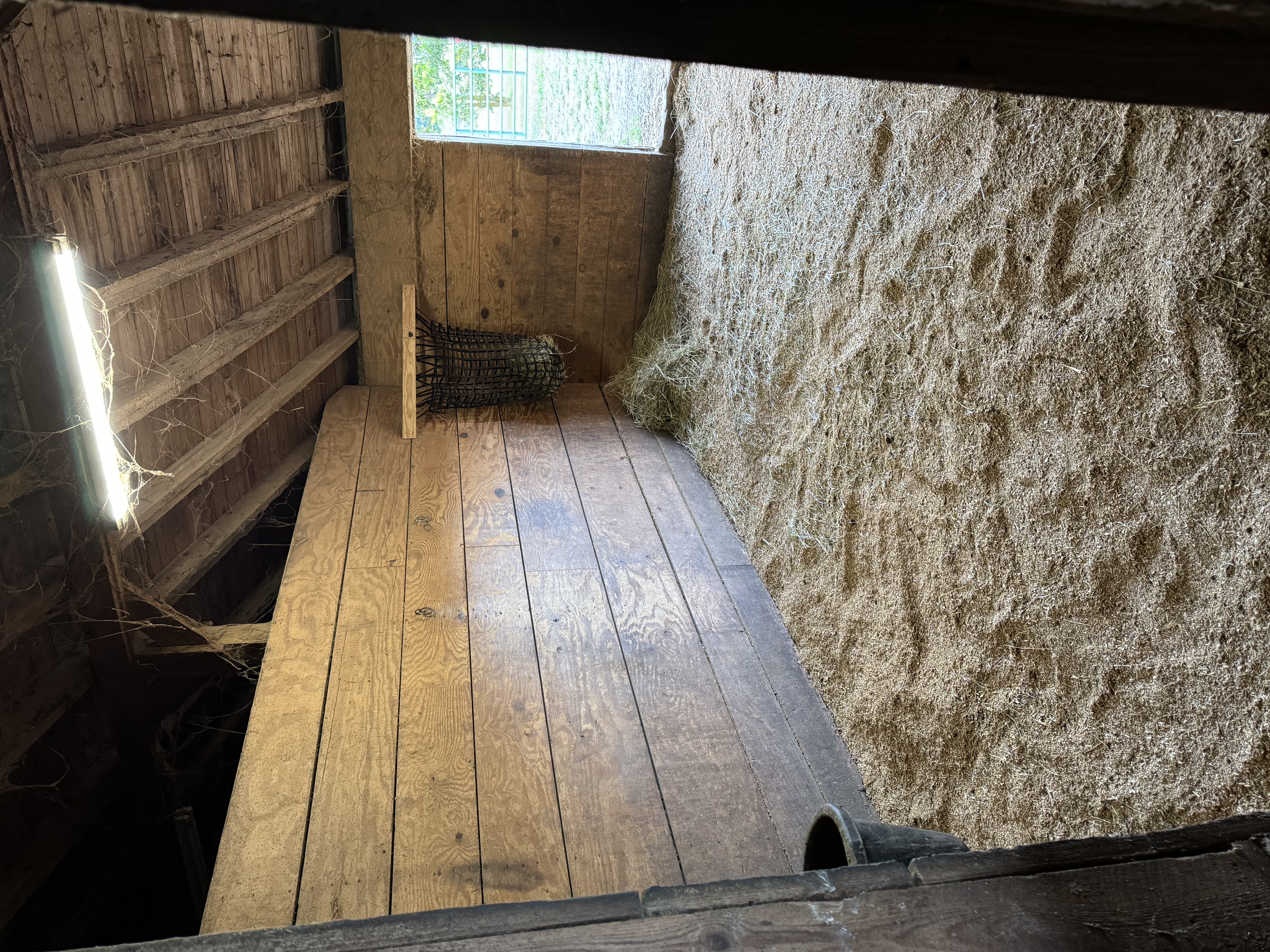 10x20 Stalls with mats