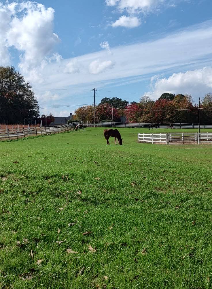 One of the pasture