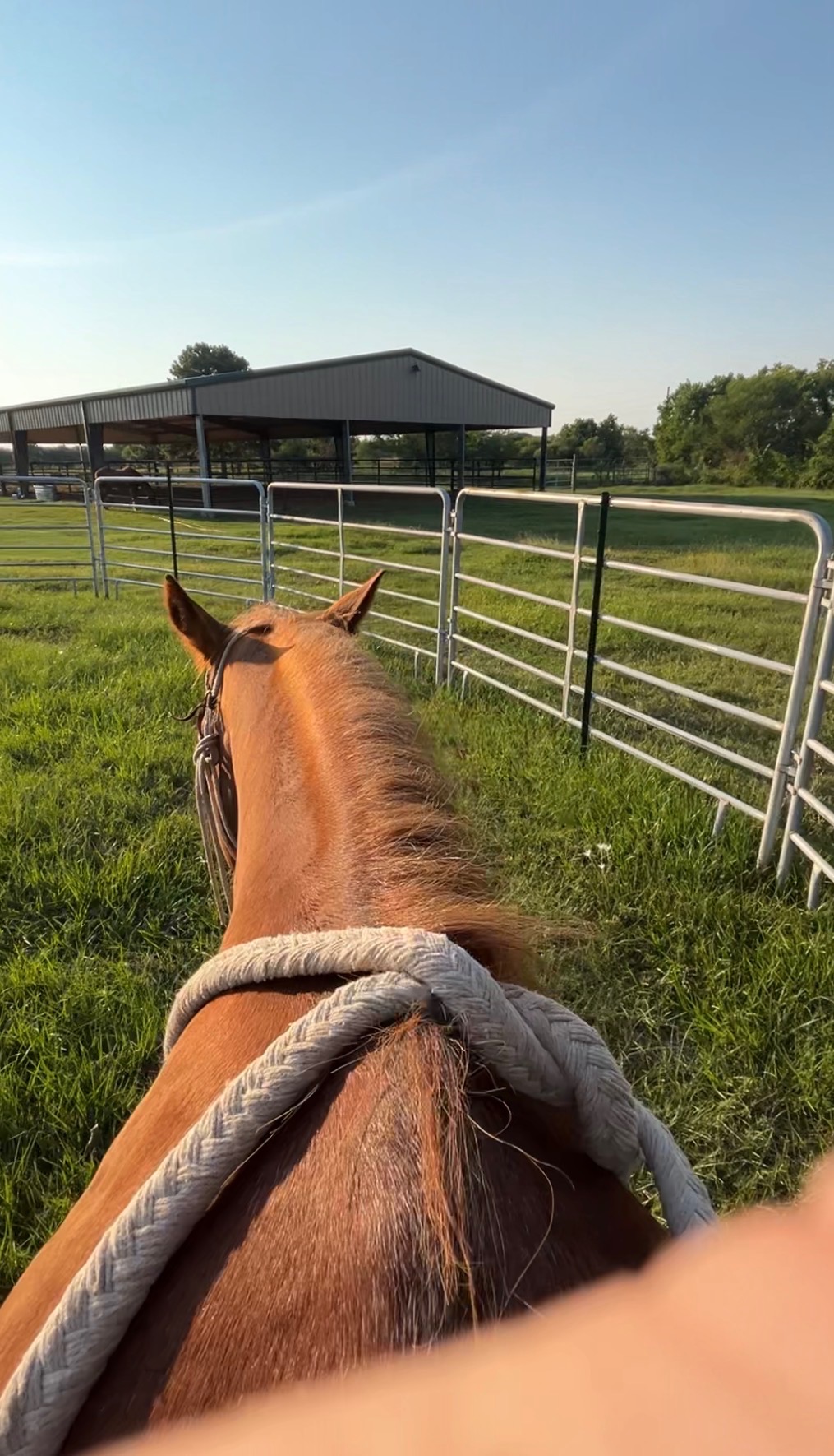Round pen