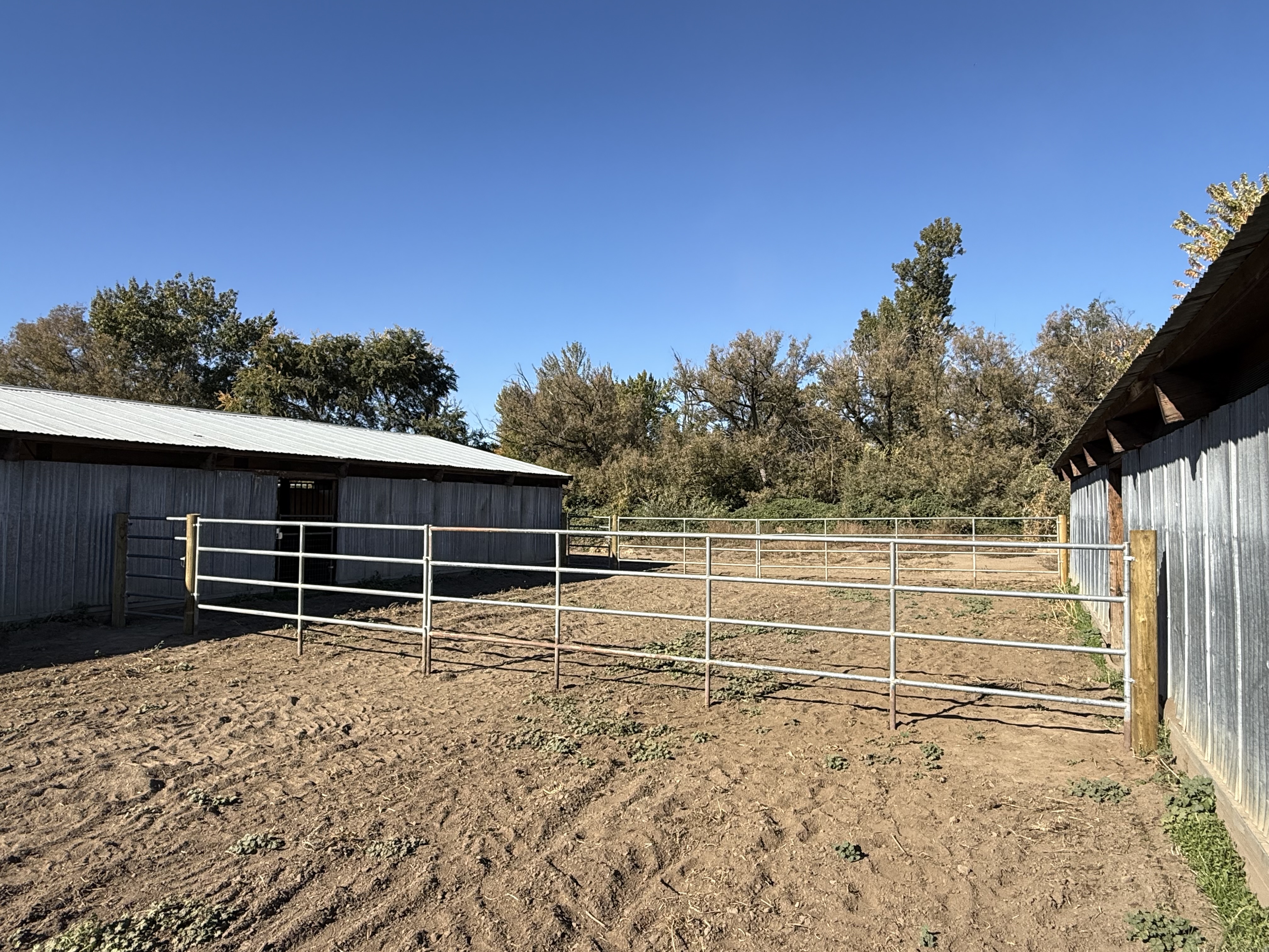 36’ by 38’ attached runs to 14’ by 16’ stalls