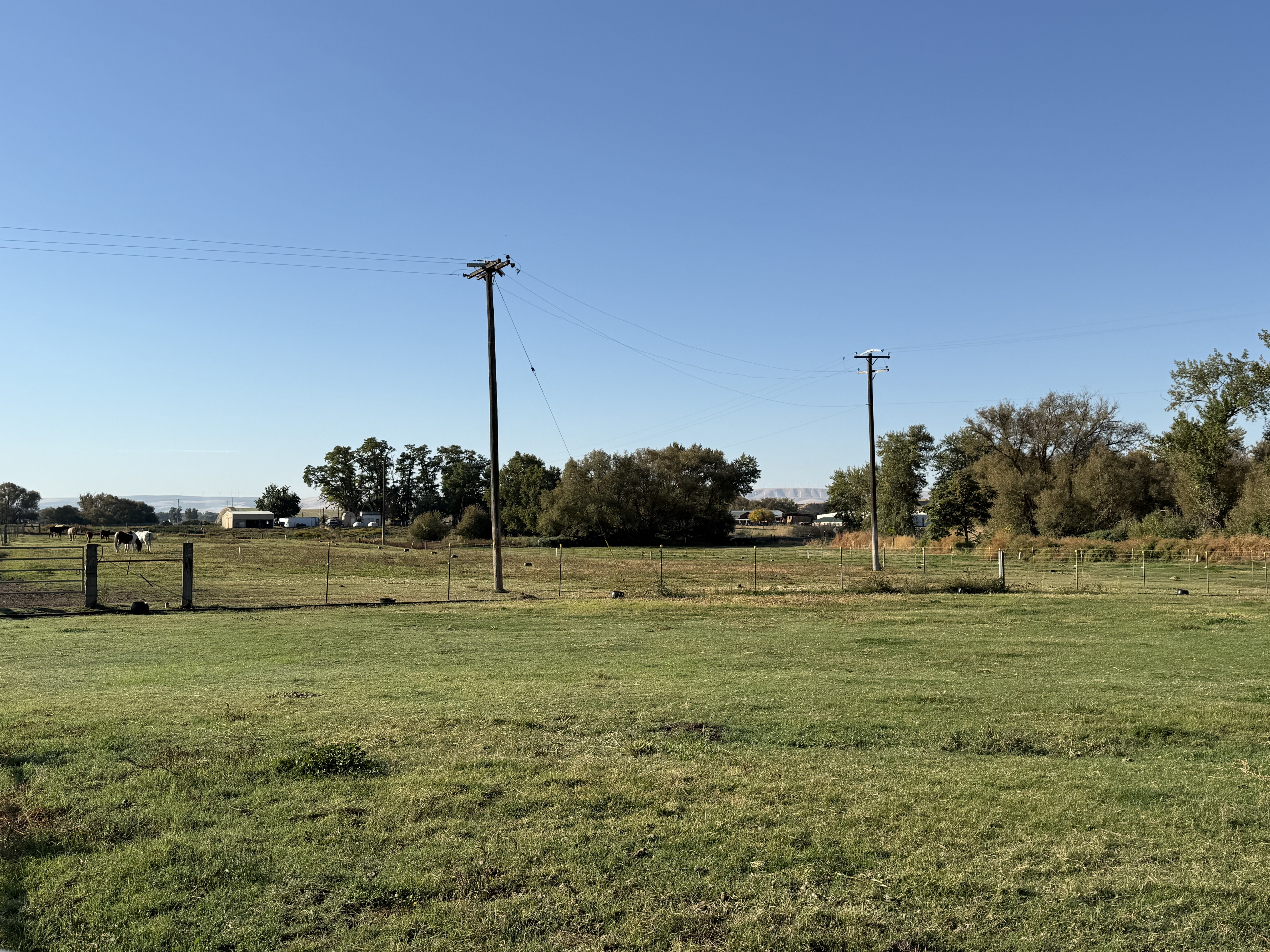 Group turnout pasture options