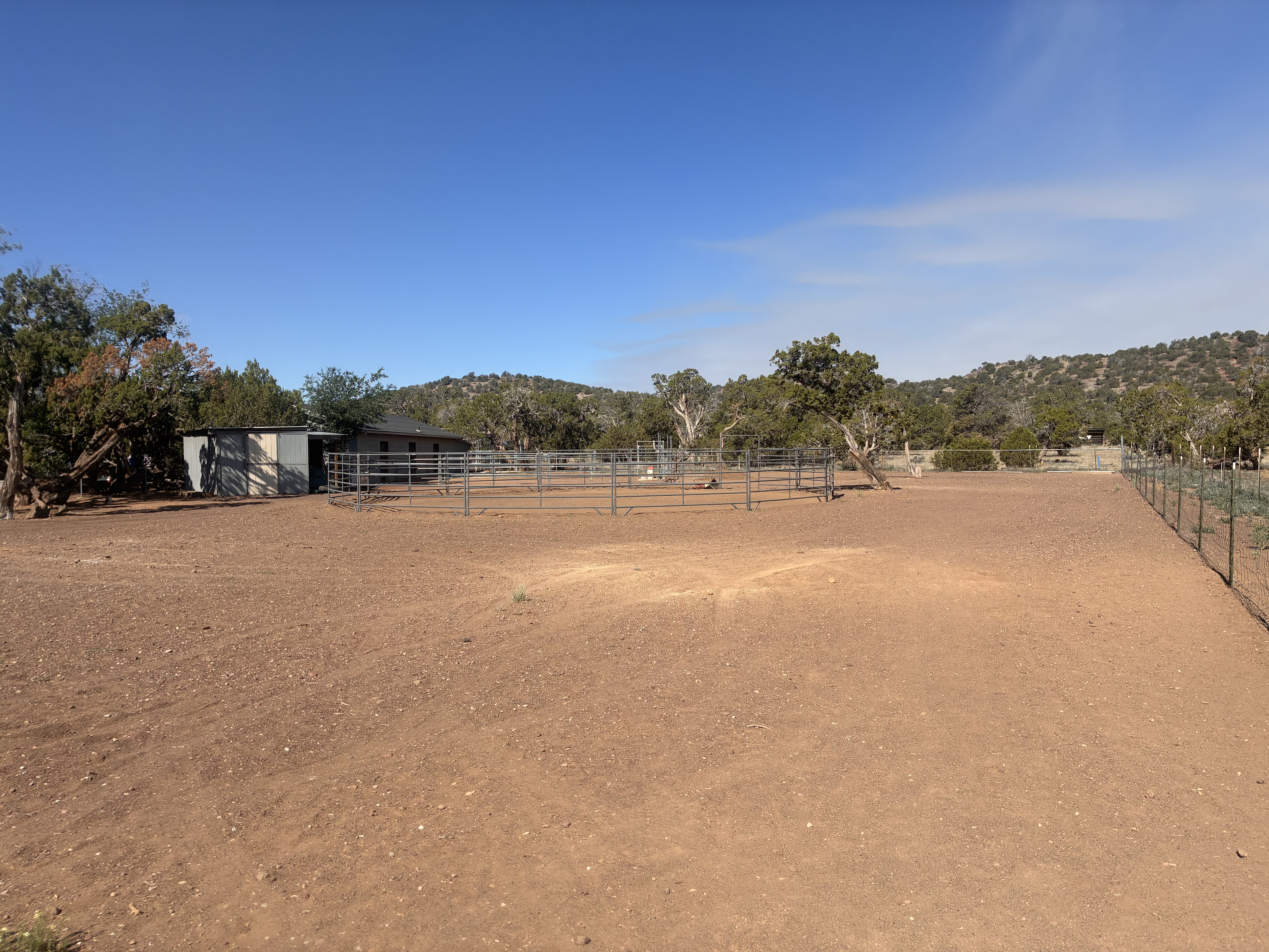 Turn out paddock/riding (arena)