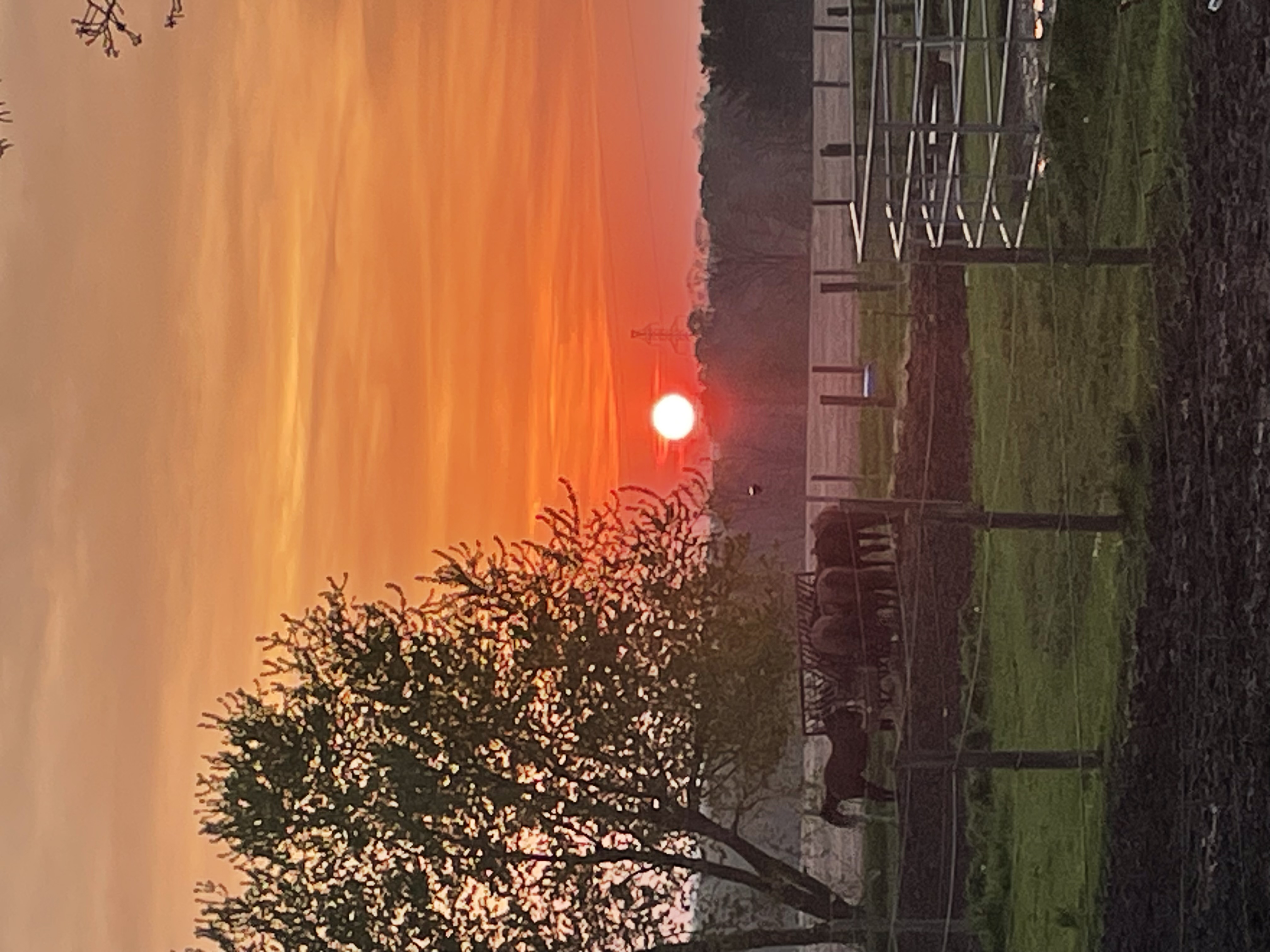 Peaceful evening