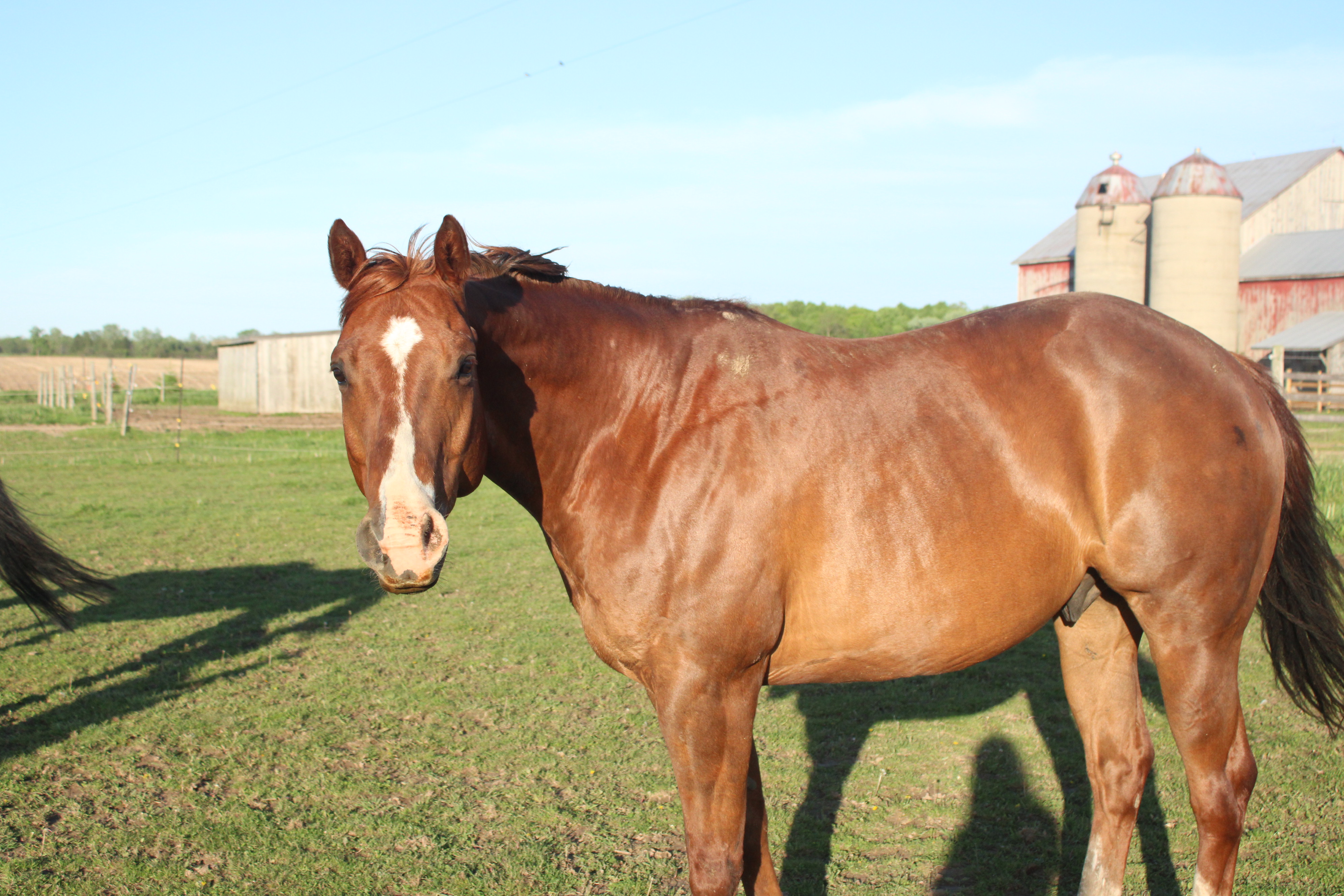 Eddie, born here