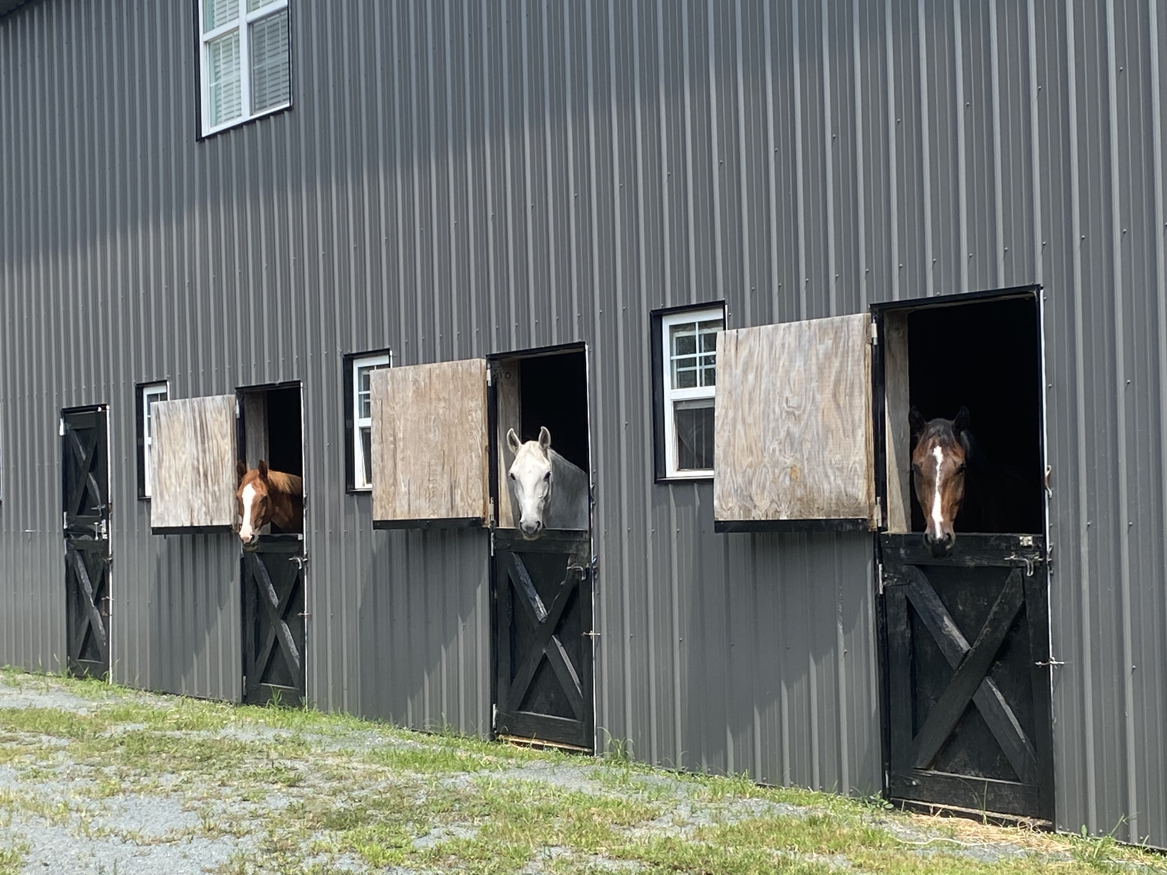 Lovely Dutch doors for air flow and safety make for happy horses!