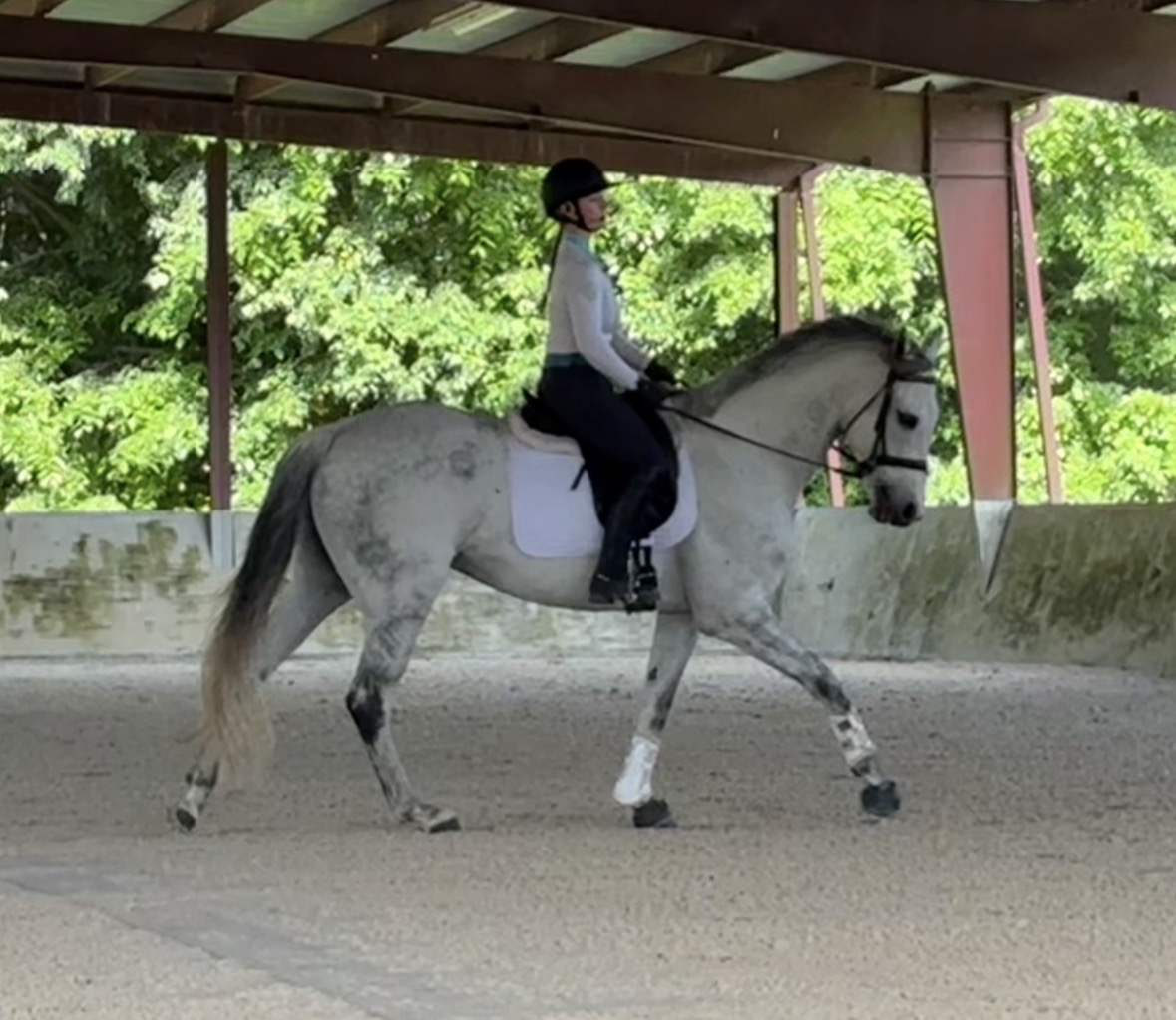Riding in the lovely covered arena