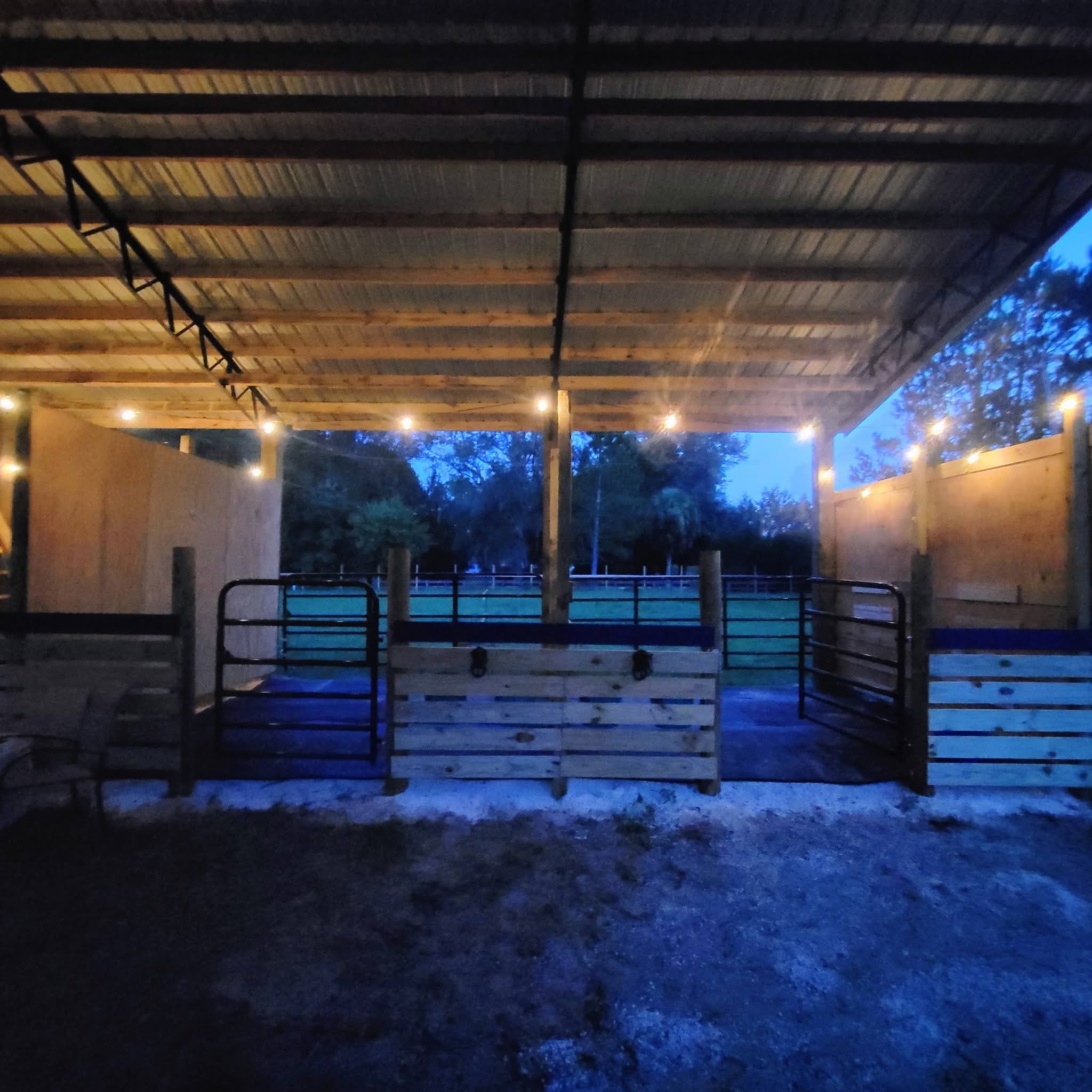 Night view