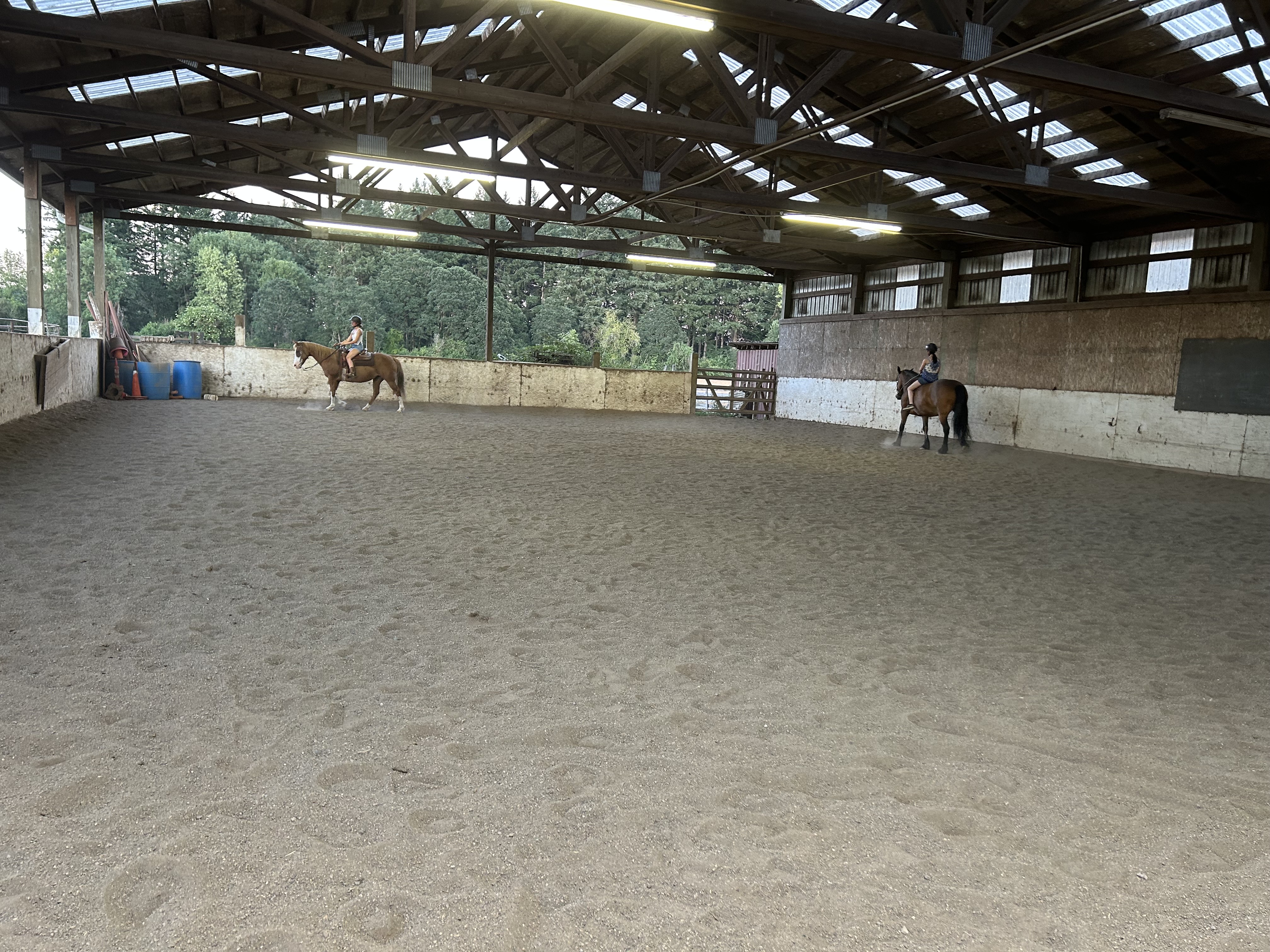 Arena