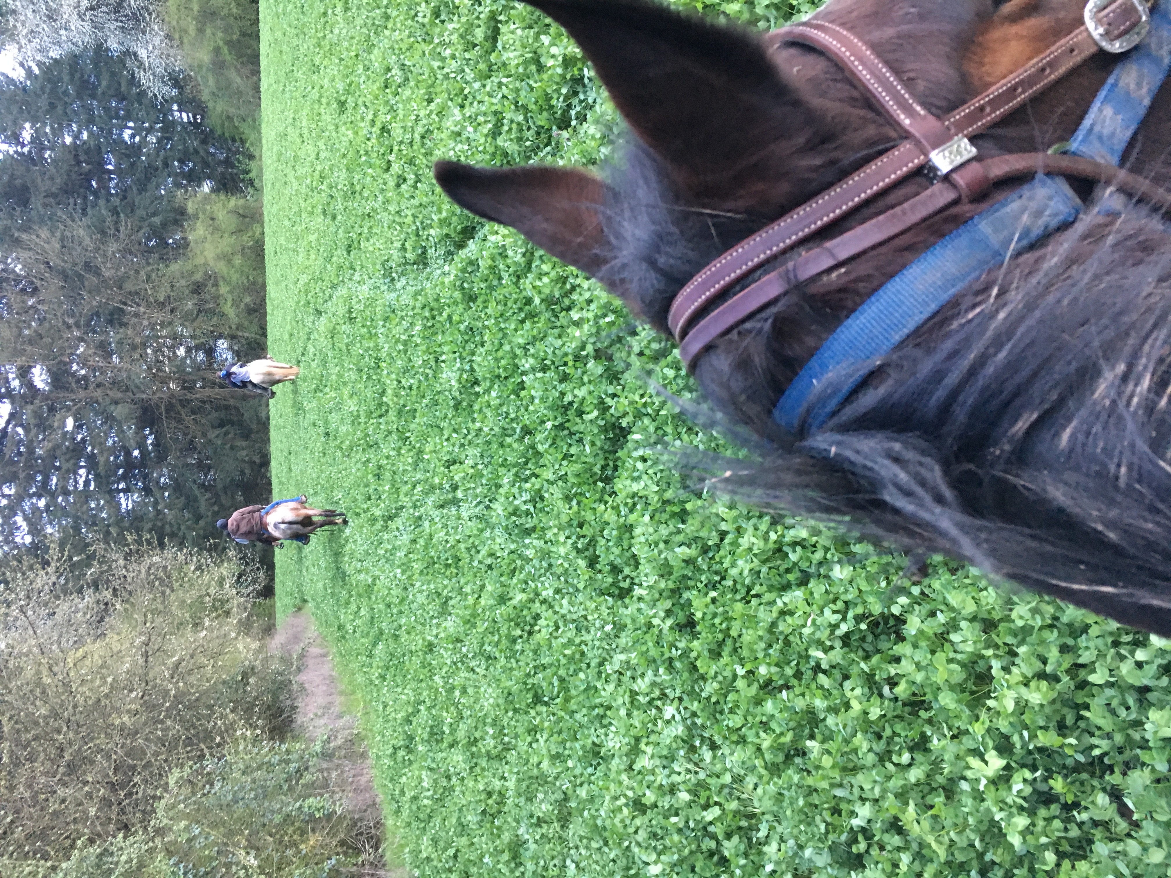 Riding around the fields