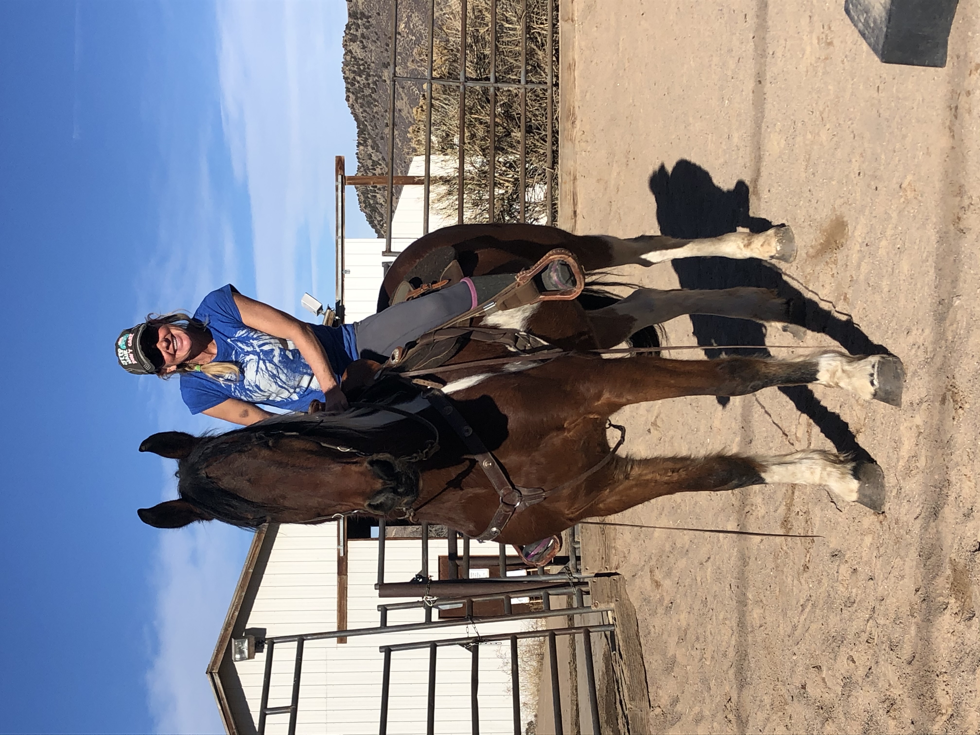 BOARDING/TRAINING/LESSONS AVAILABLE