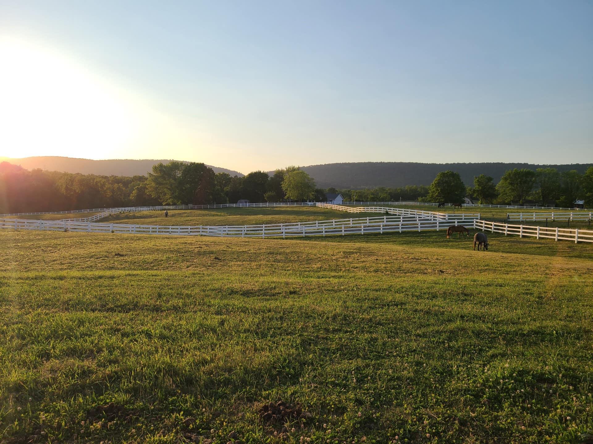 Pastures