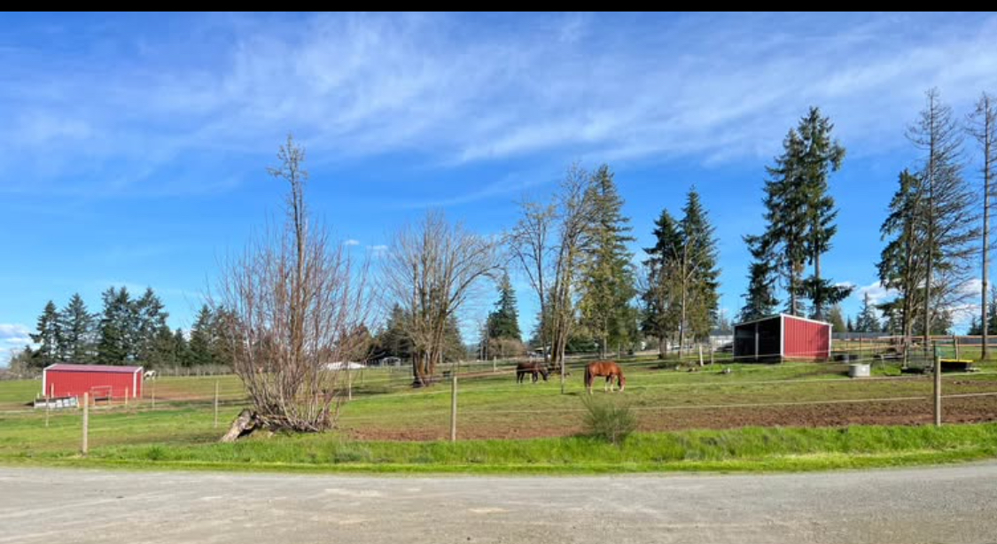 Pastures