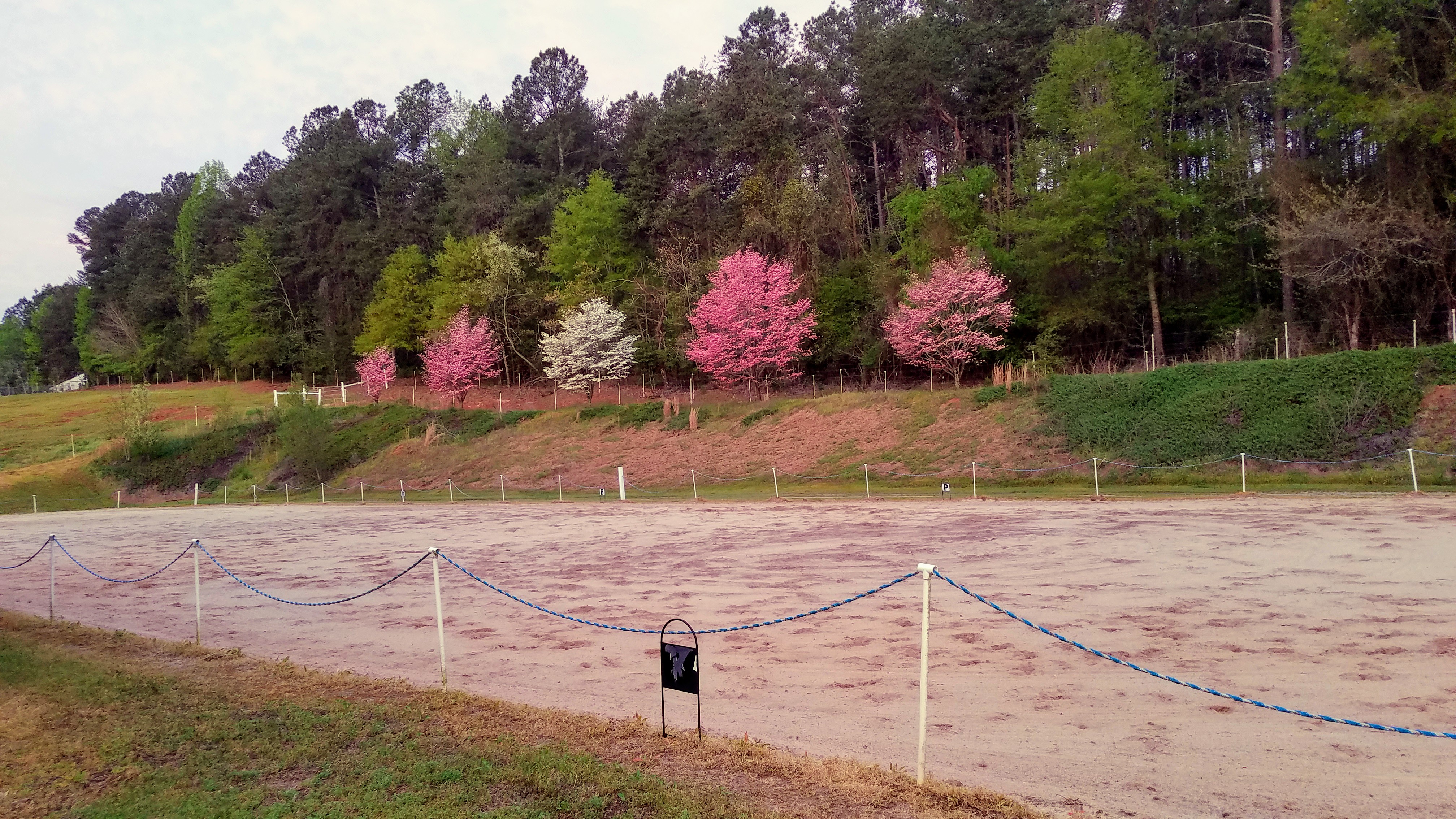 Upper arena - a lighted 66’X198’ regulation dressage arena