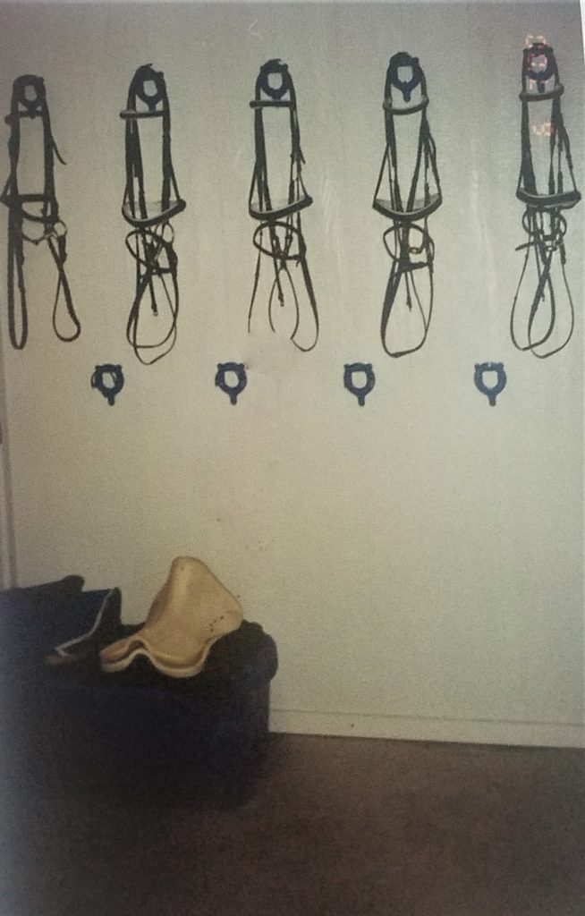 Tack Room w/plenty of storage, mop sink & dehumidifier