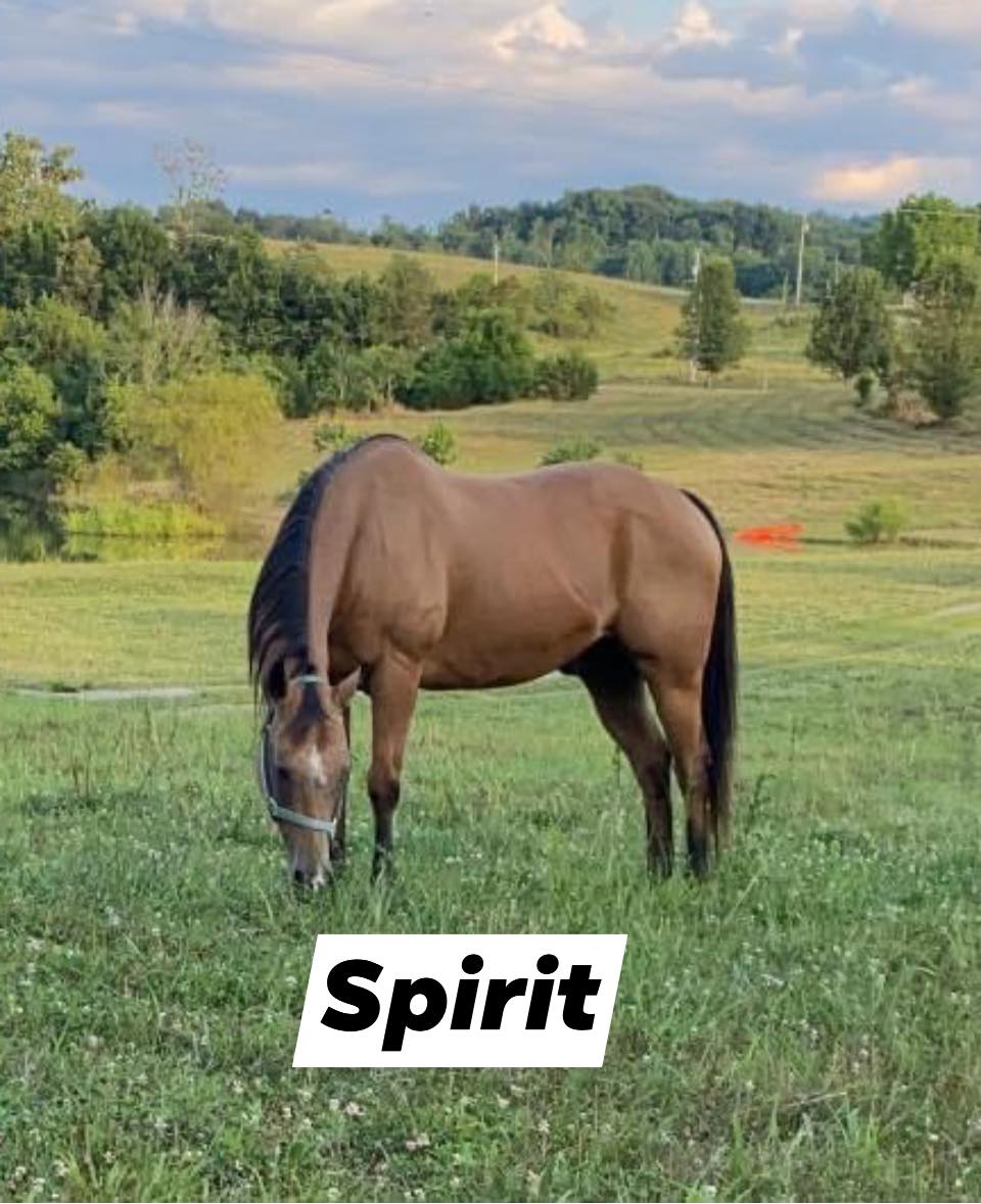 Spirit in the field