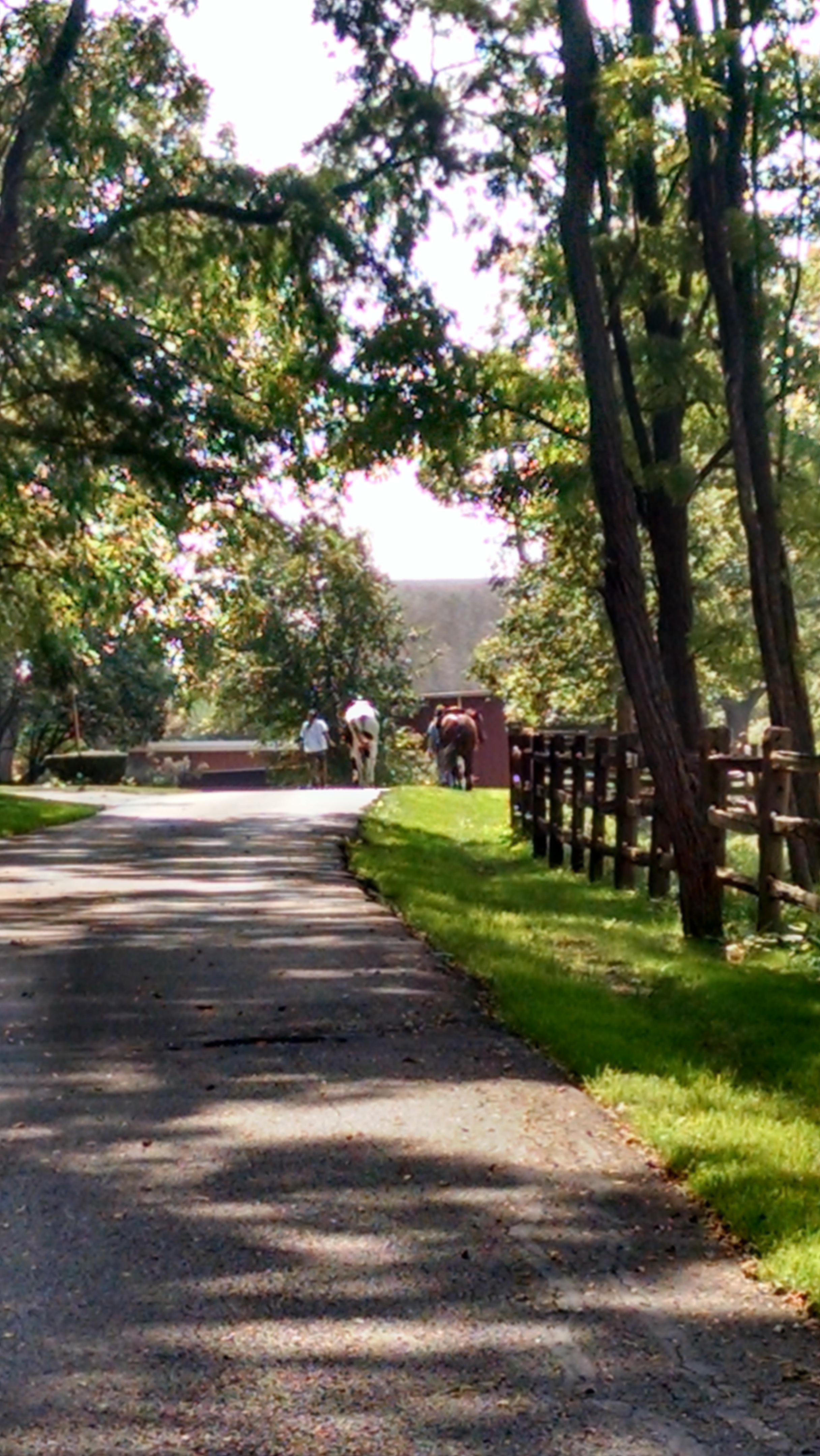 Enter to Galusha Farm