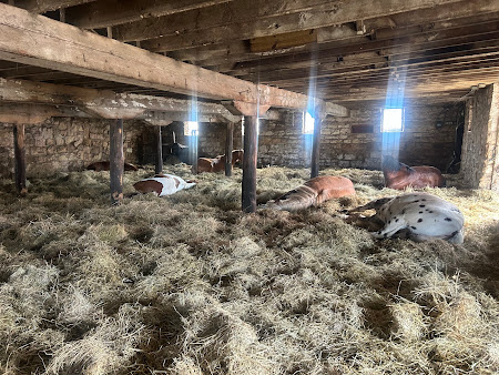 Very cozy and we get good Z's