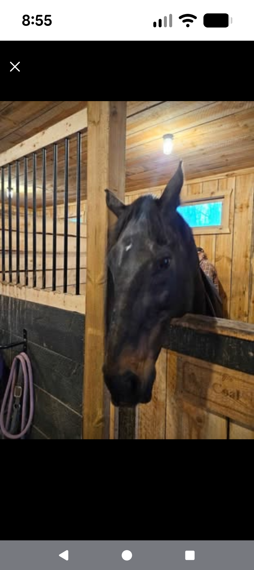 Stone Hedge Farm