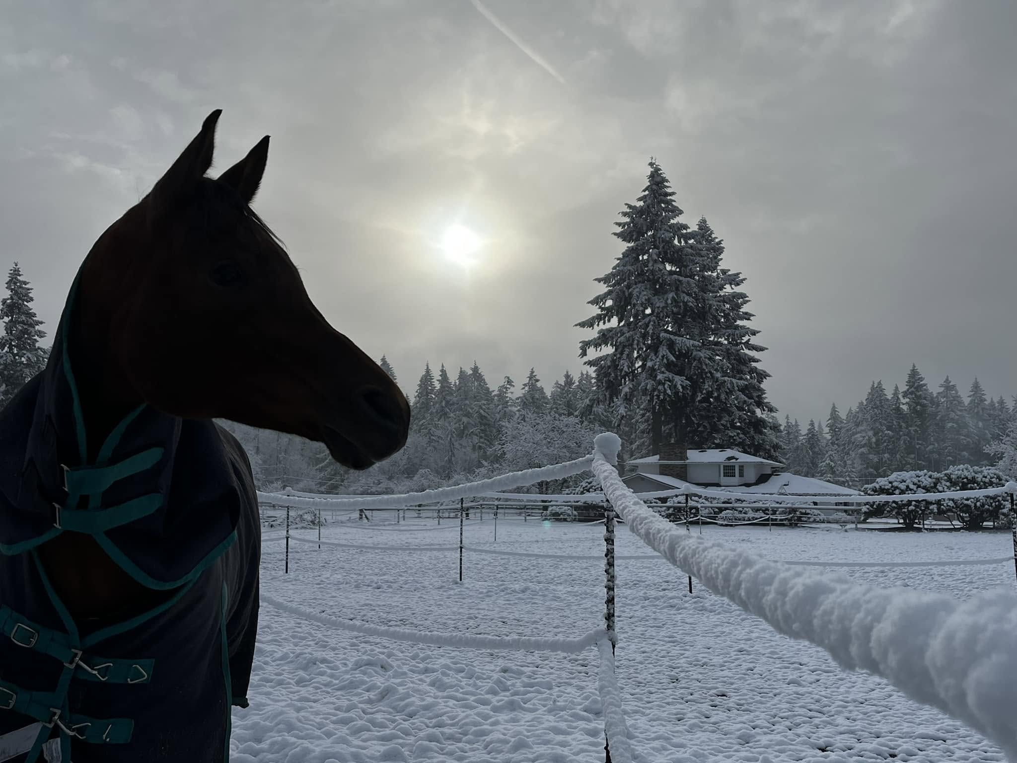 Snow day!
