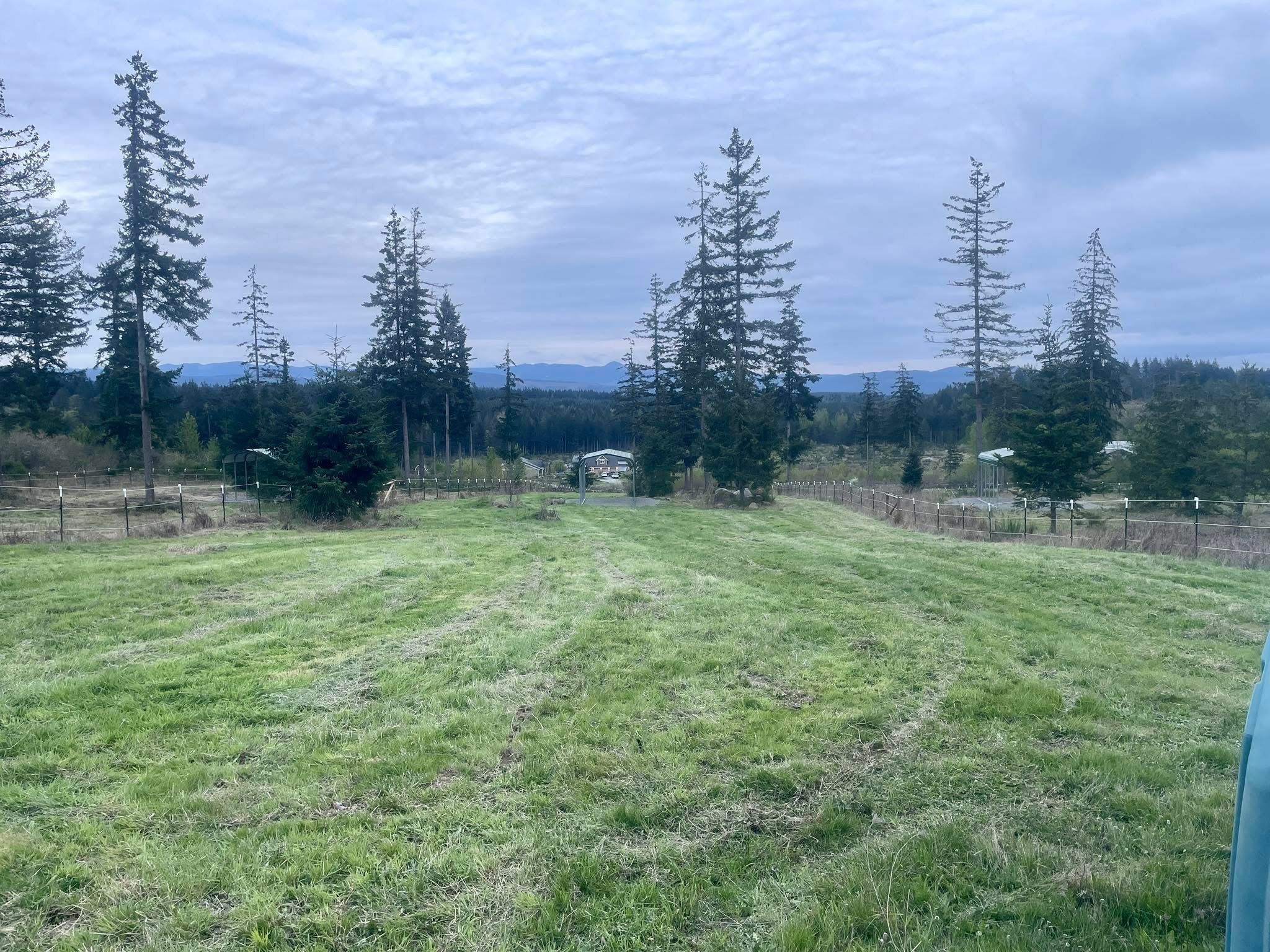 Pasture 5