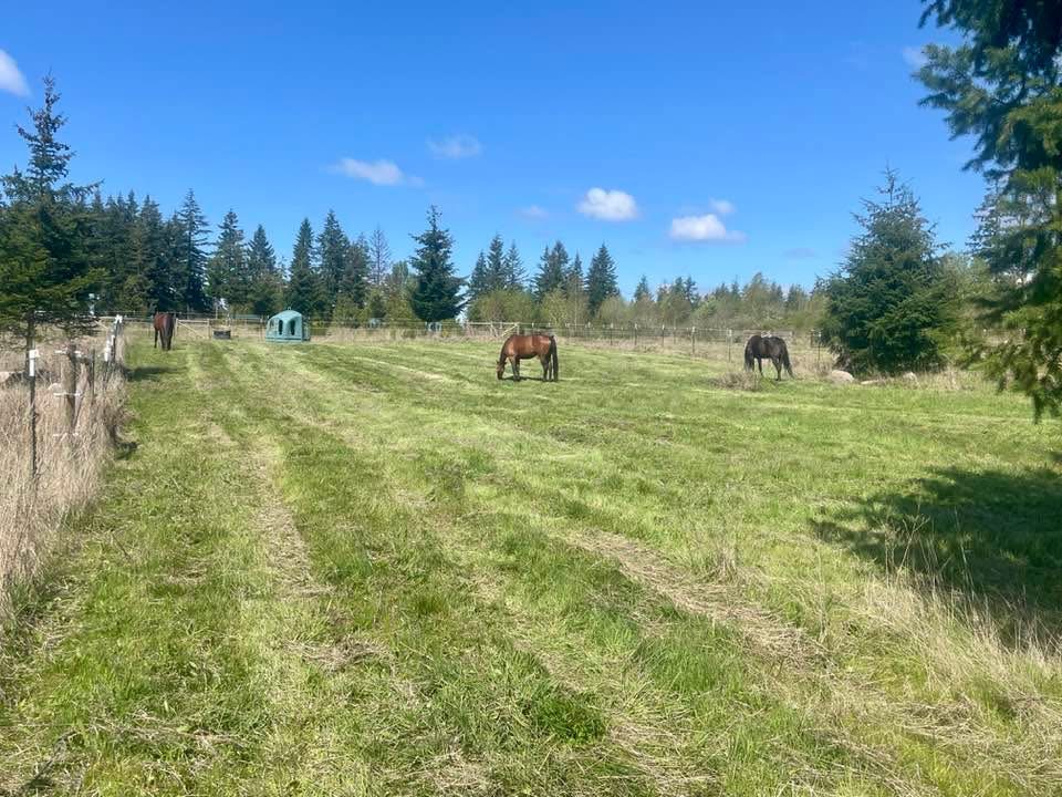 Pasture 1