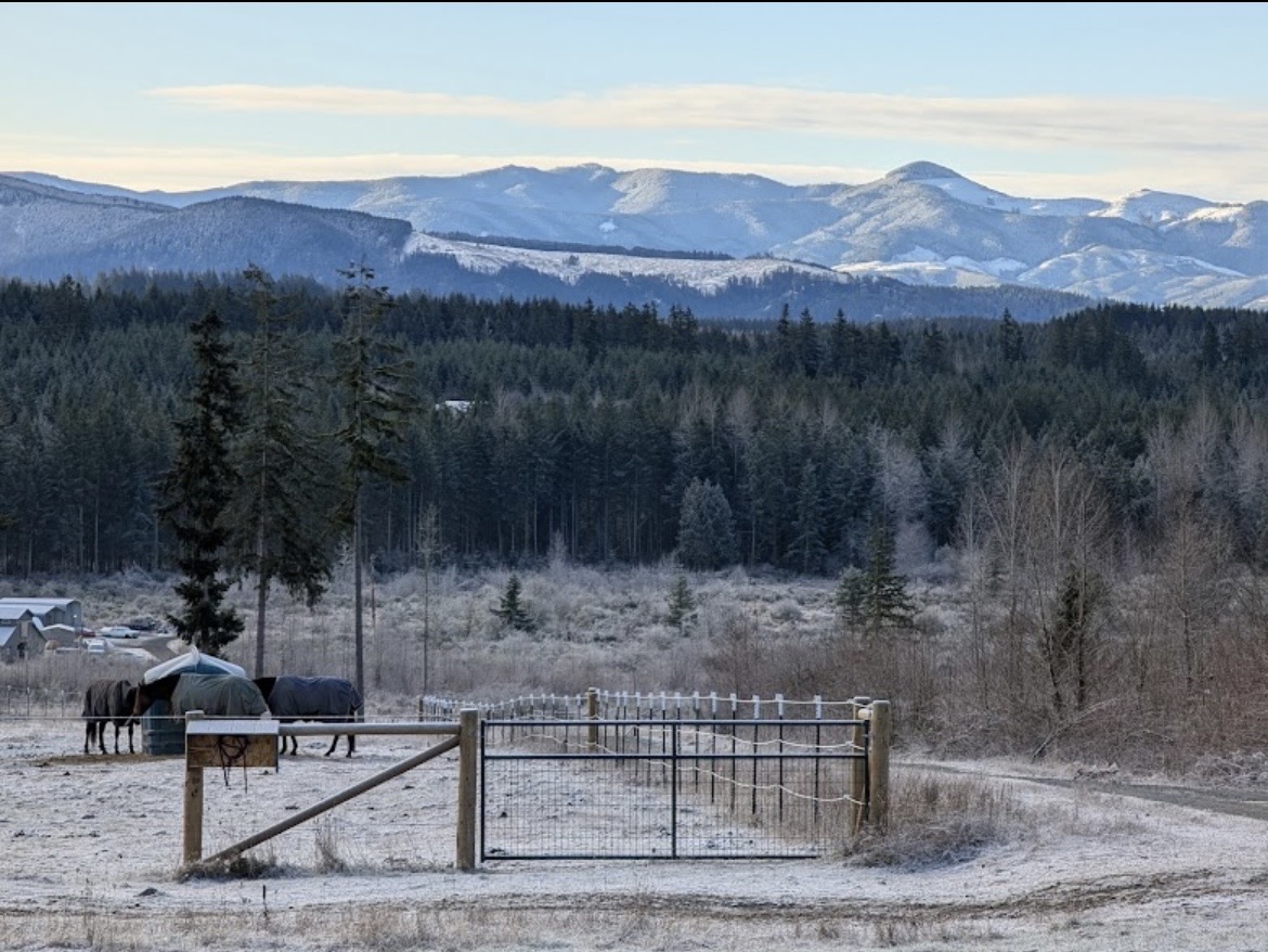 Pasture 7