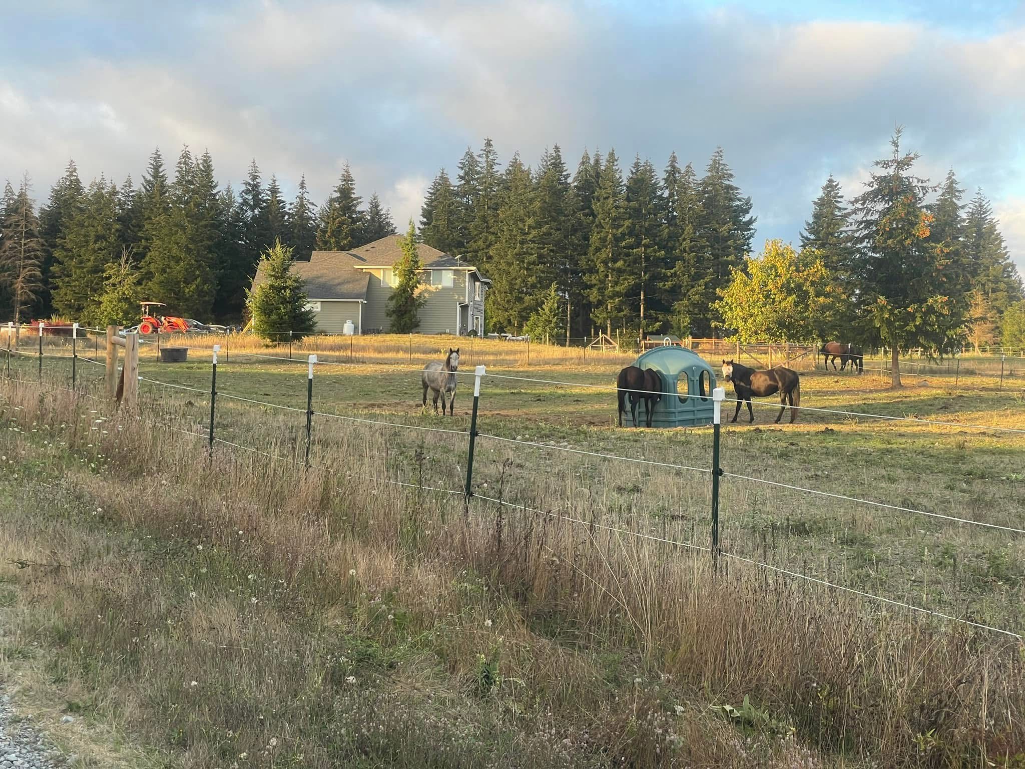 Pasture 3