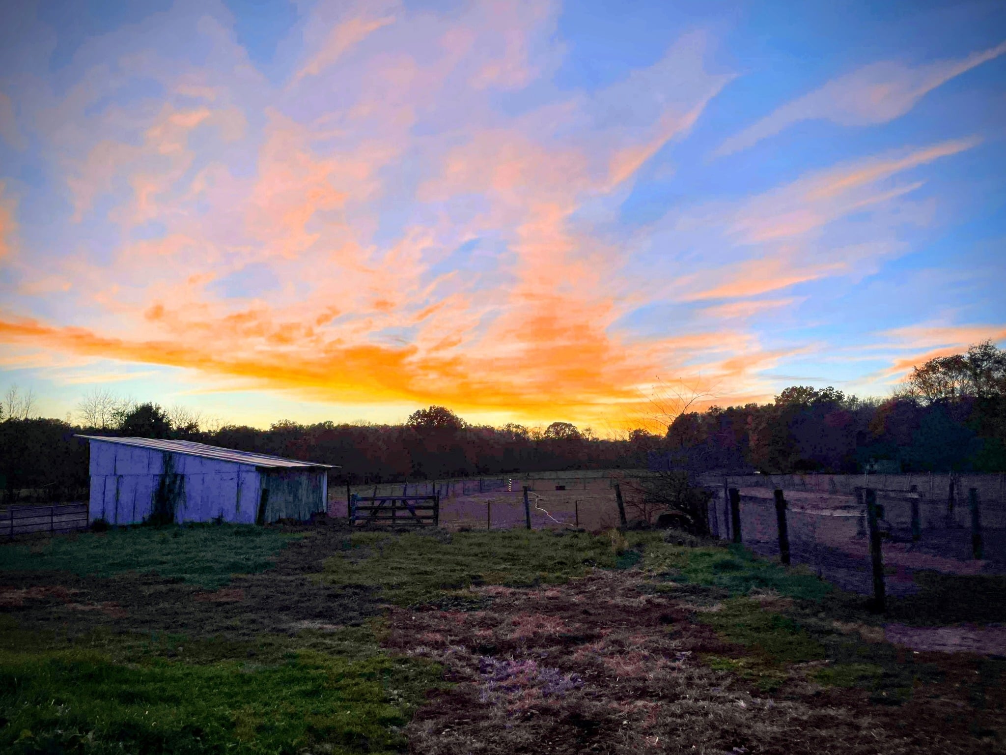 Pastures