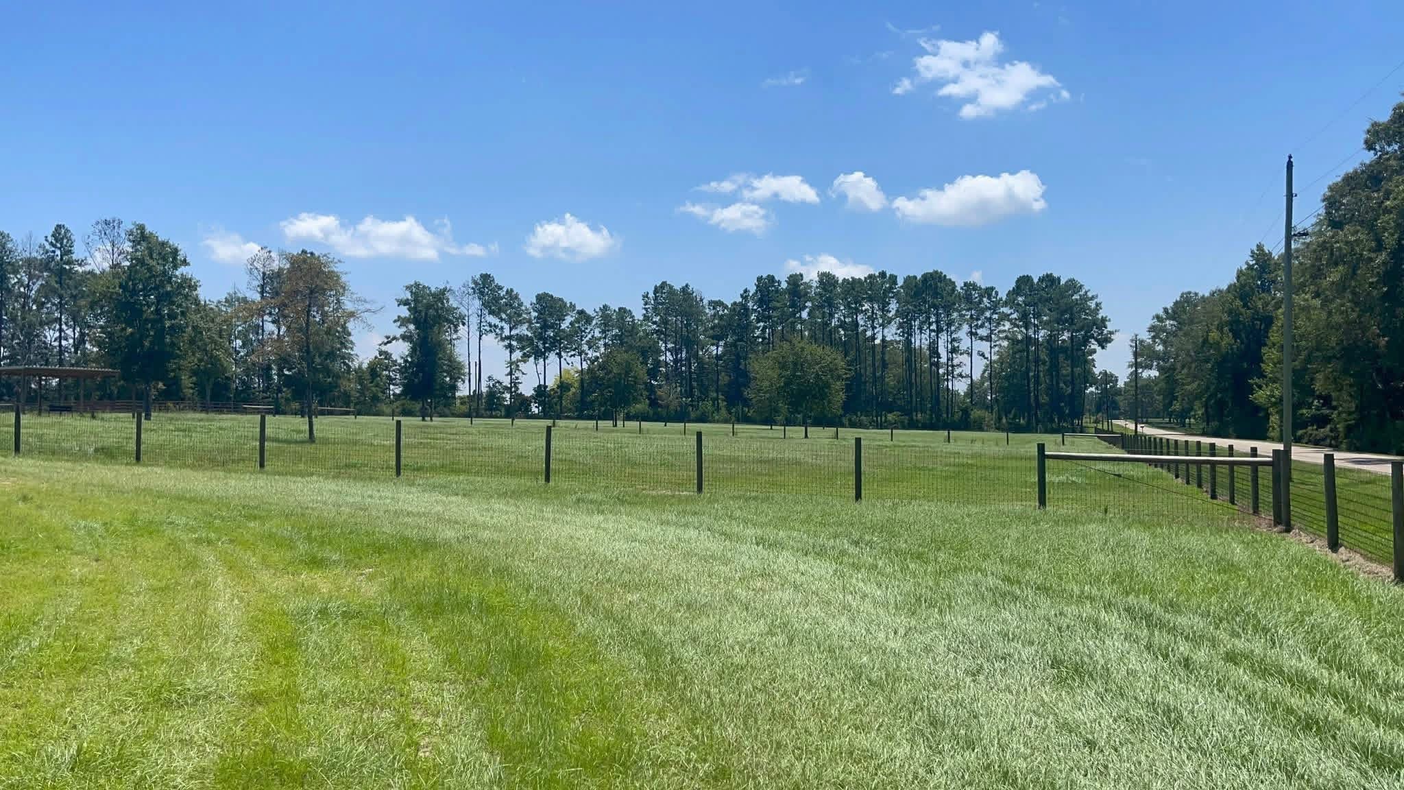 Pasture