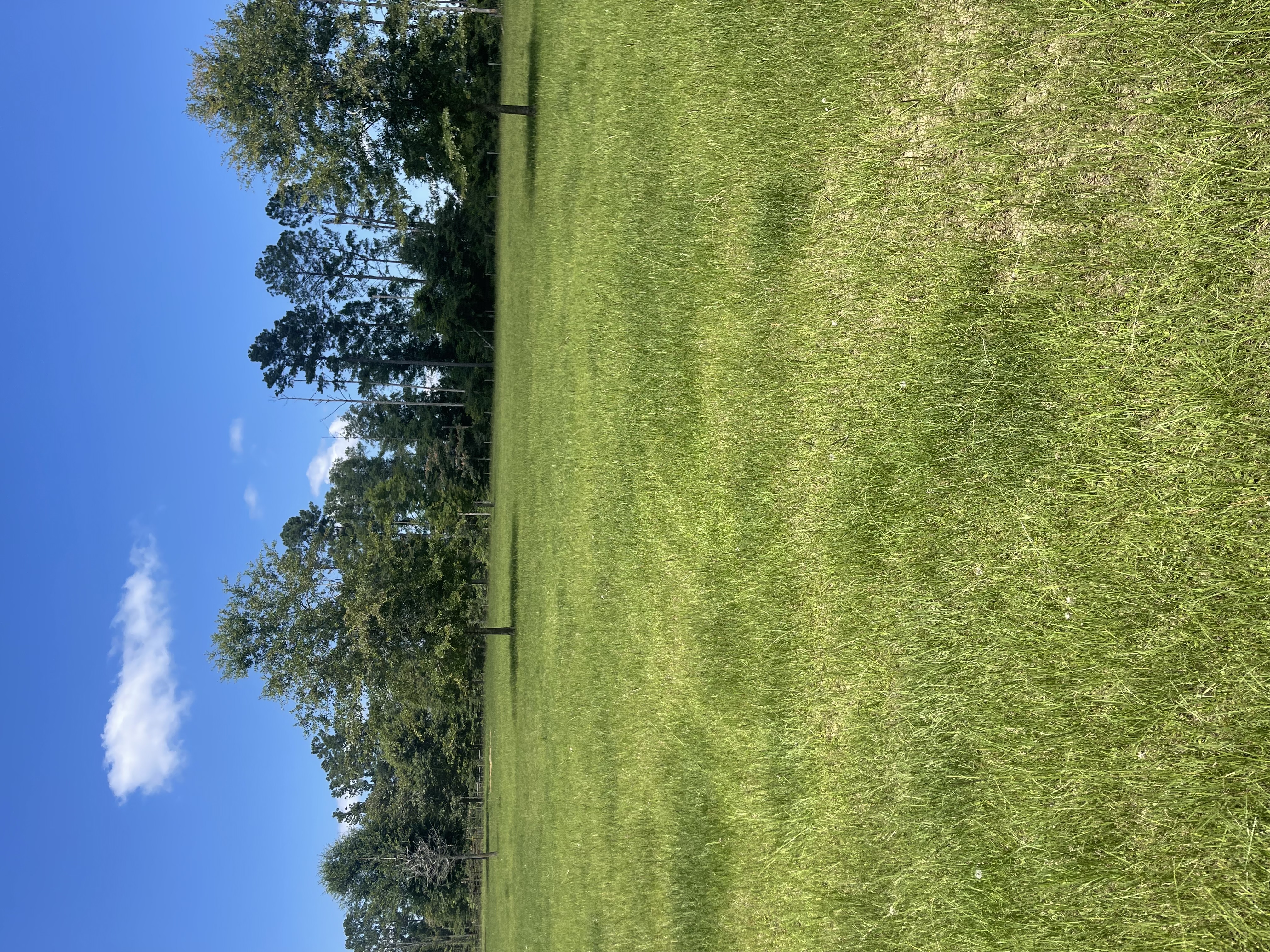 Pasture