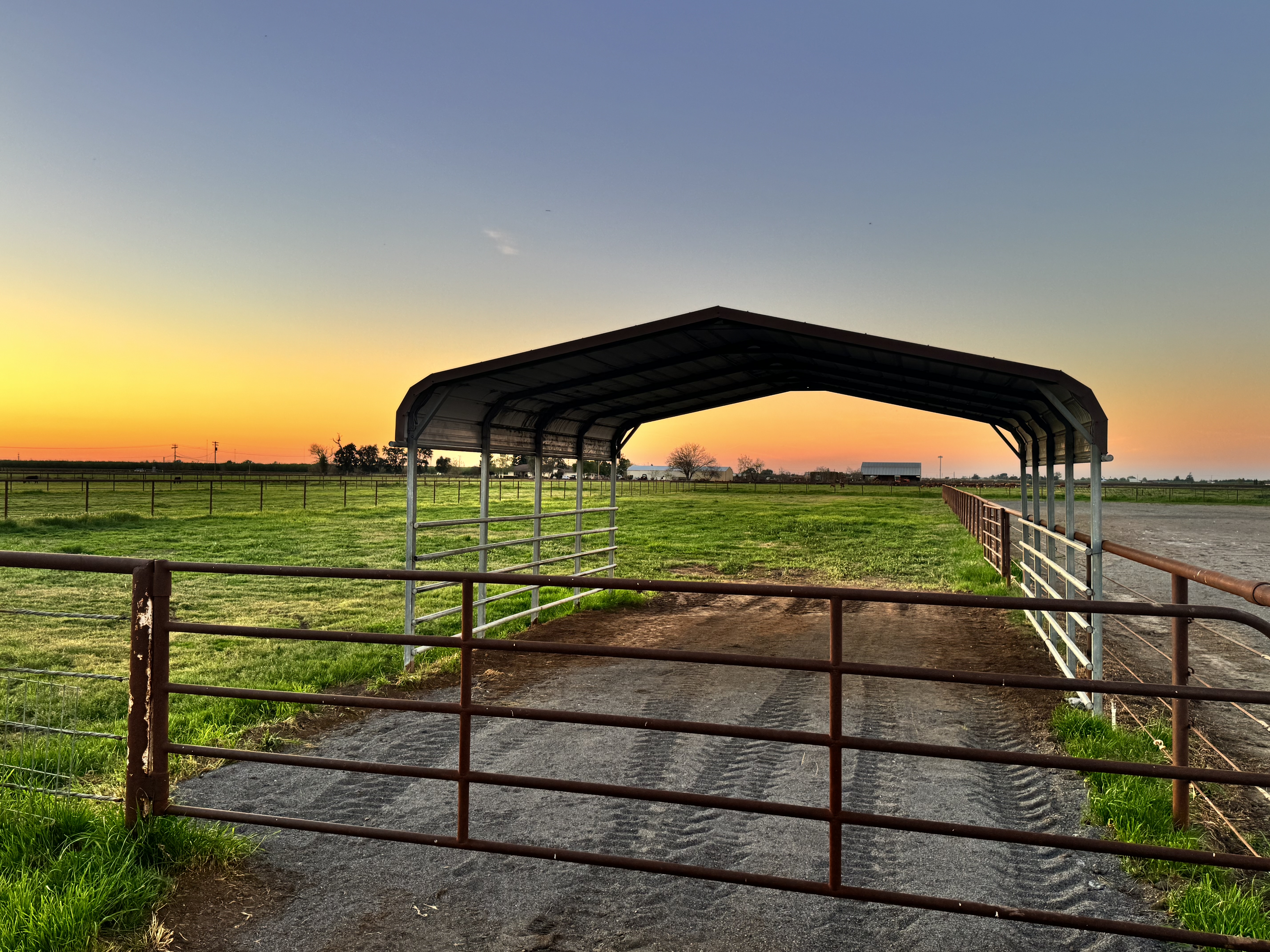 Irrigated grass pasture with mud control and easy access