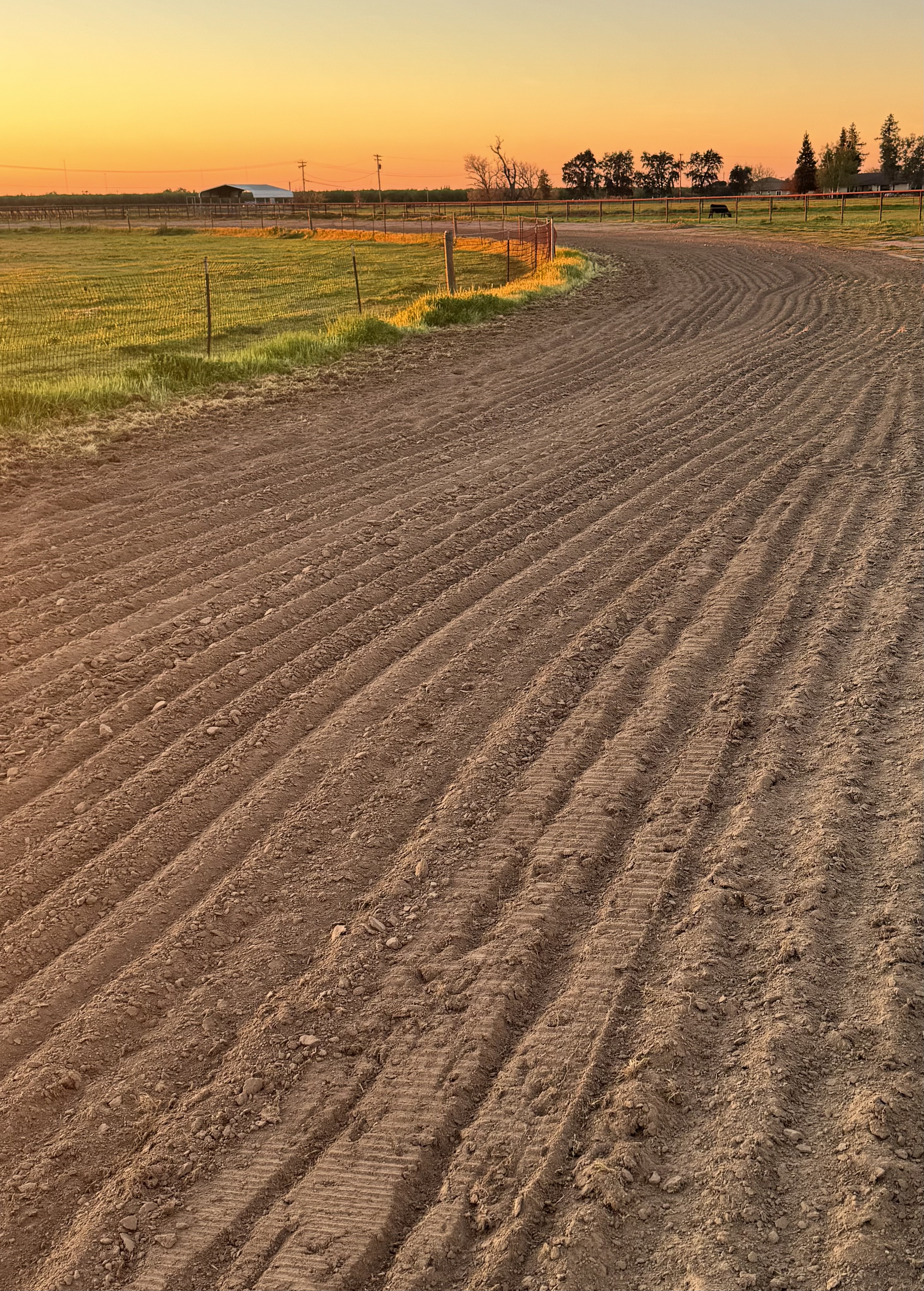 1/2 Mile Track with Maintained Great Footing