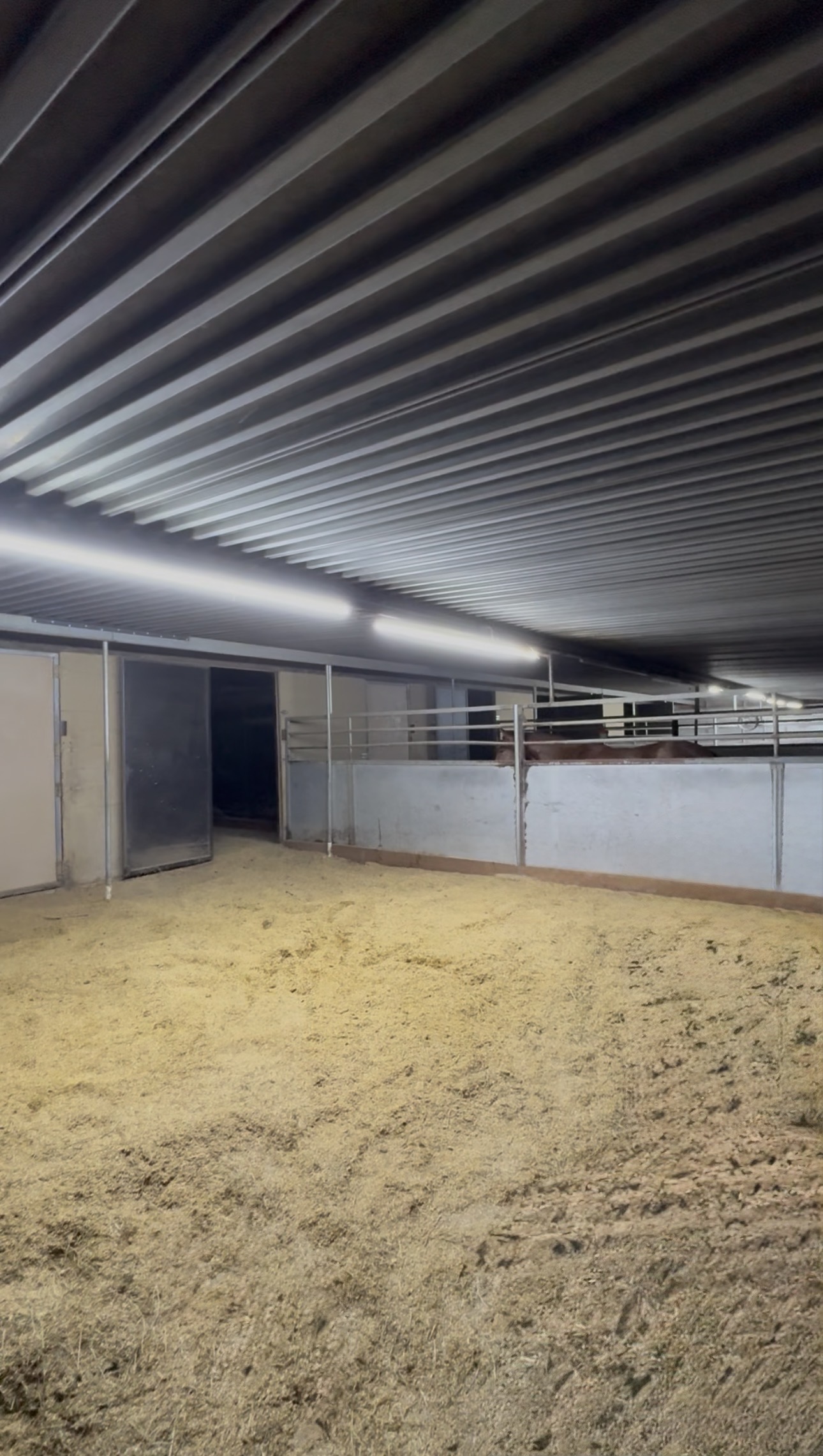 Large Covered Paddocks