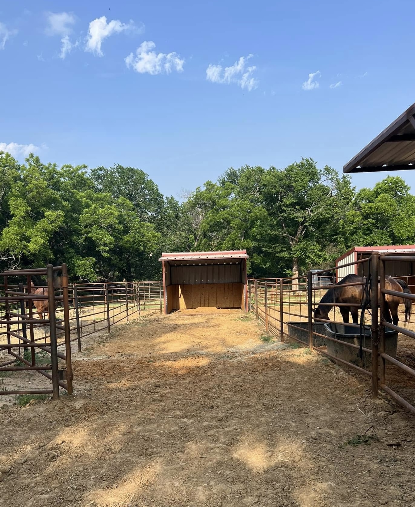Back paddock with larger run