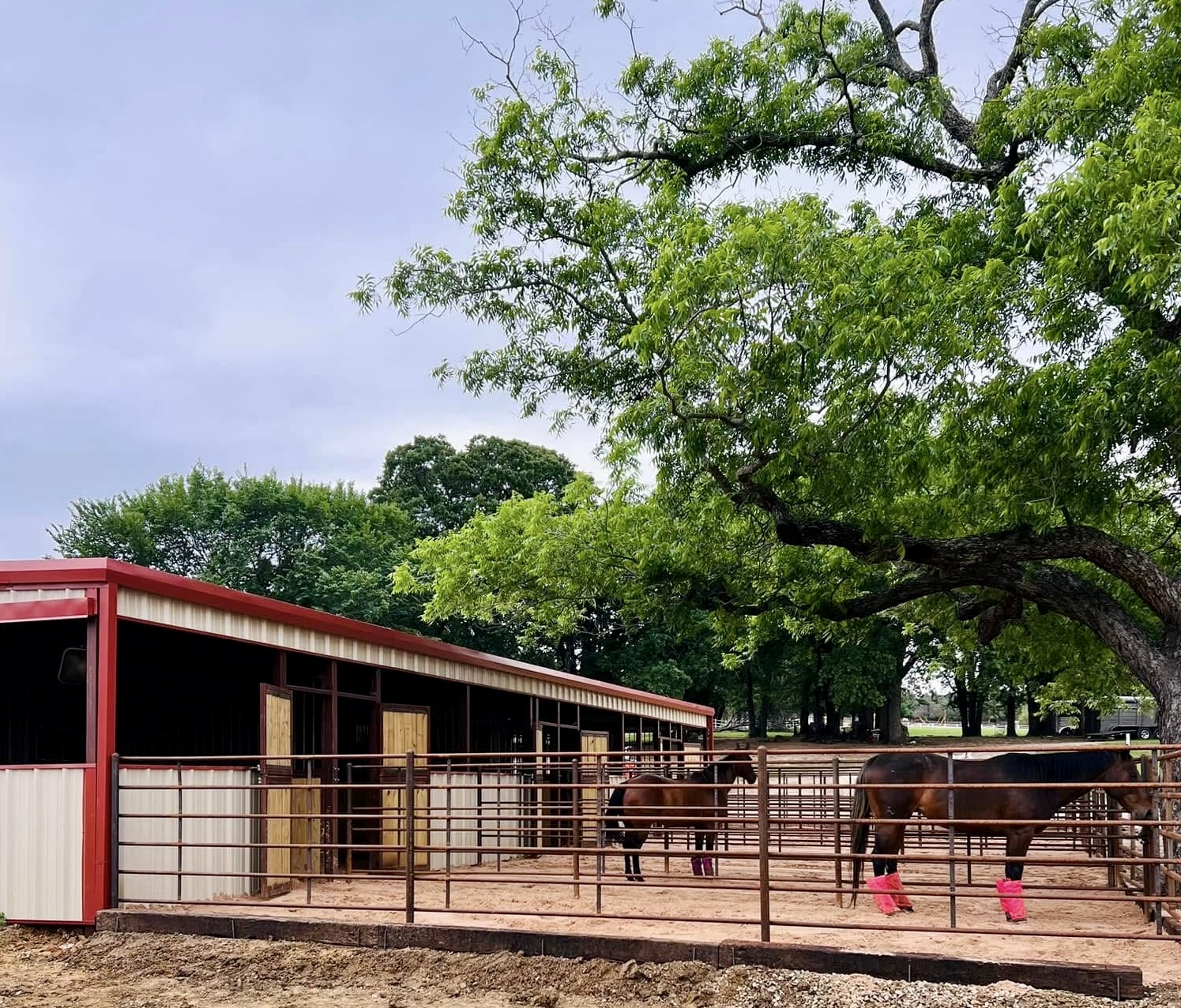 Side paddocks with runs