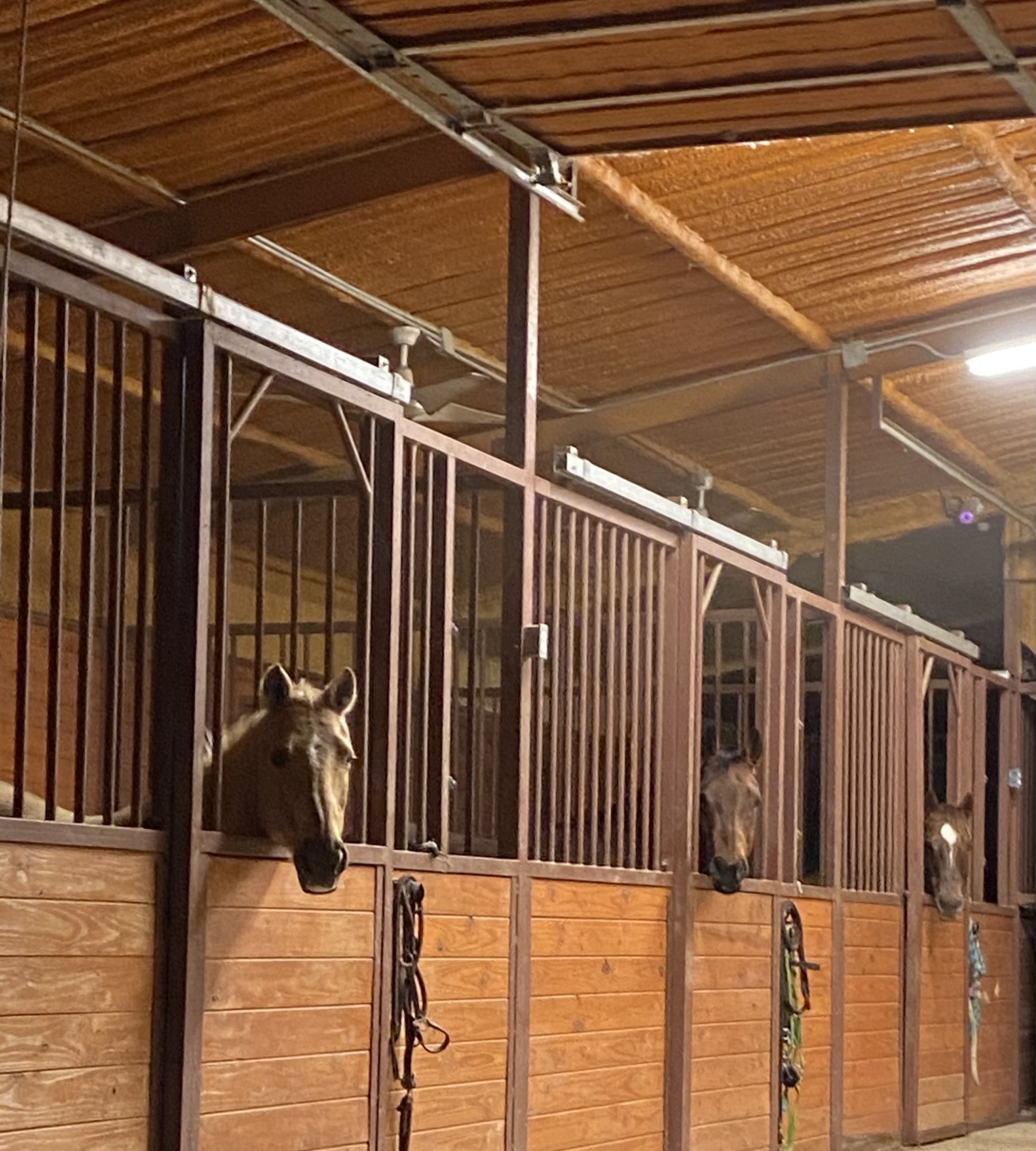 Barn