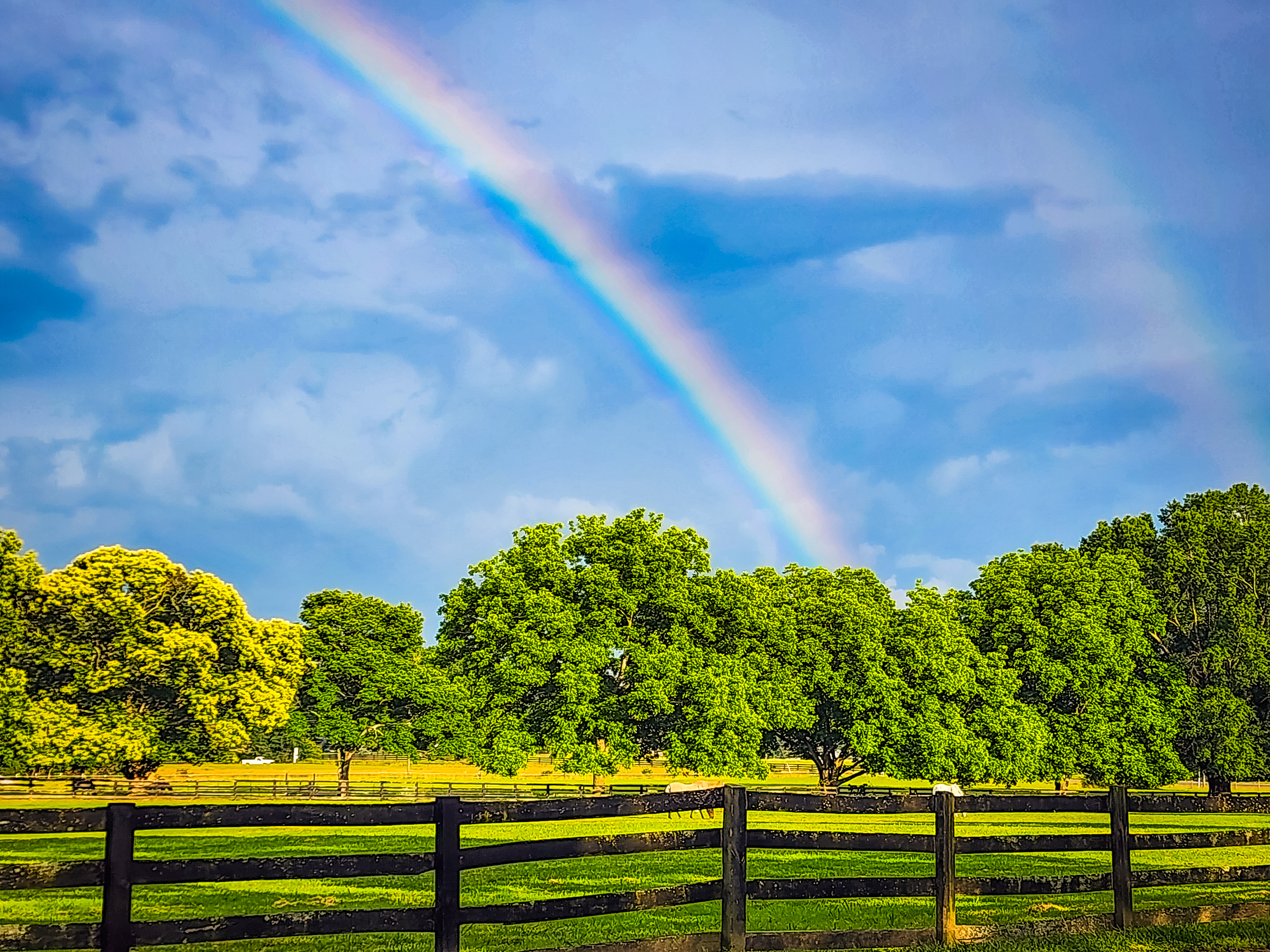 Sunny Skies and Rainbows