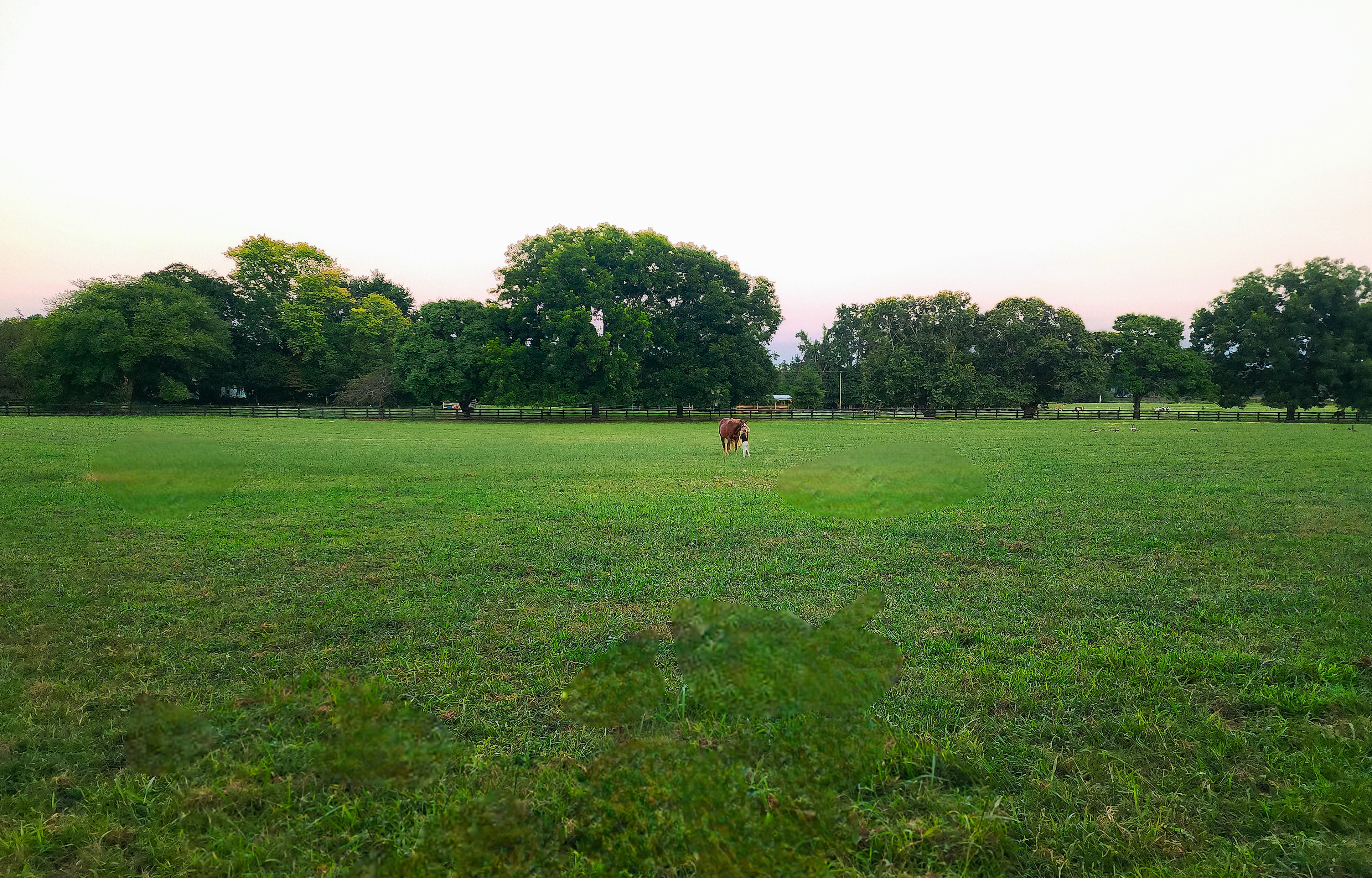 Pastures