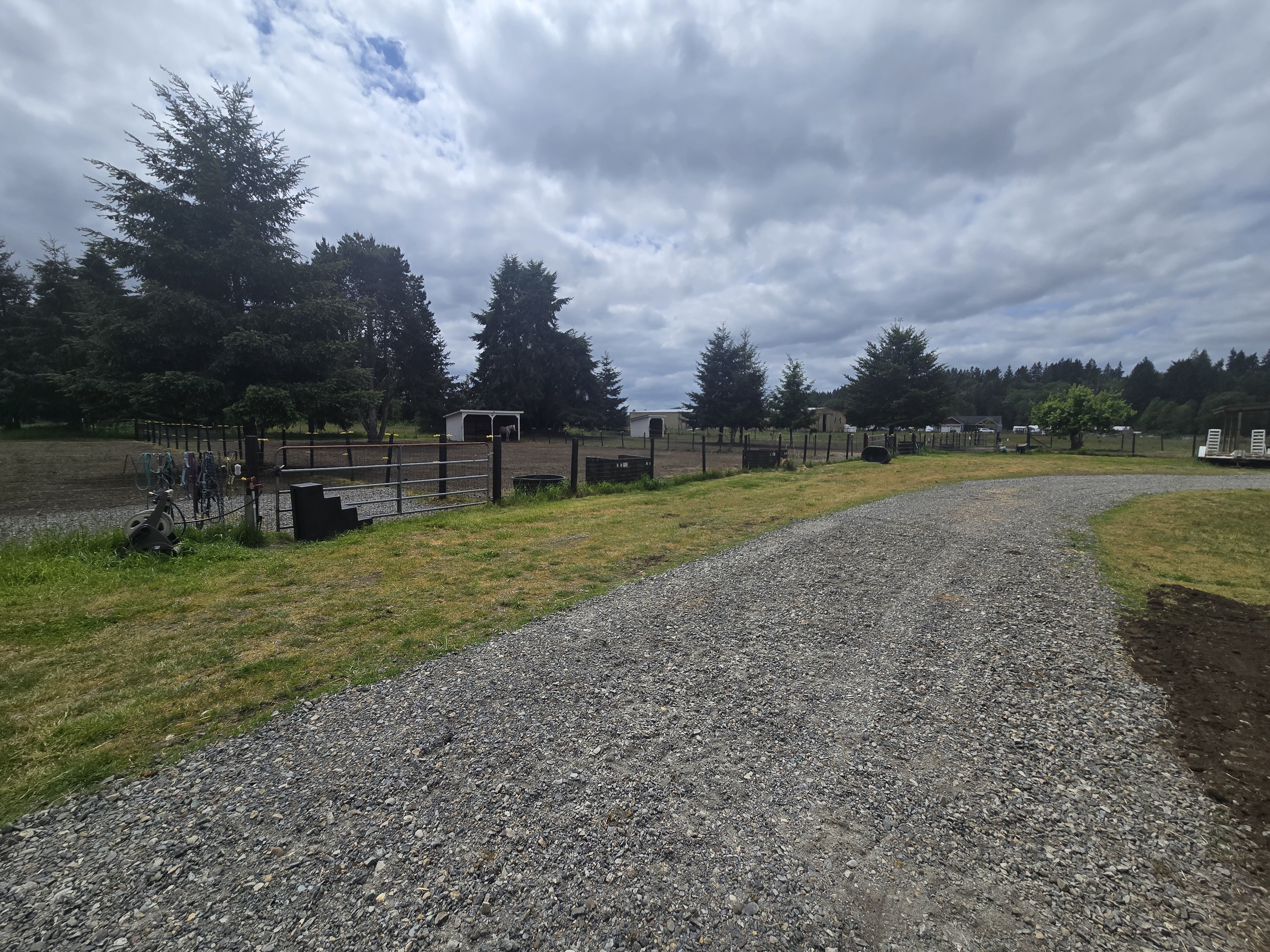 Extra large pastures with shelter