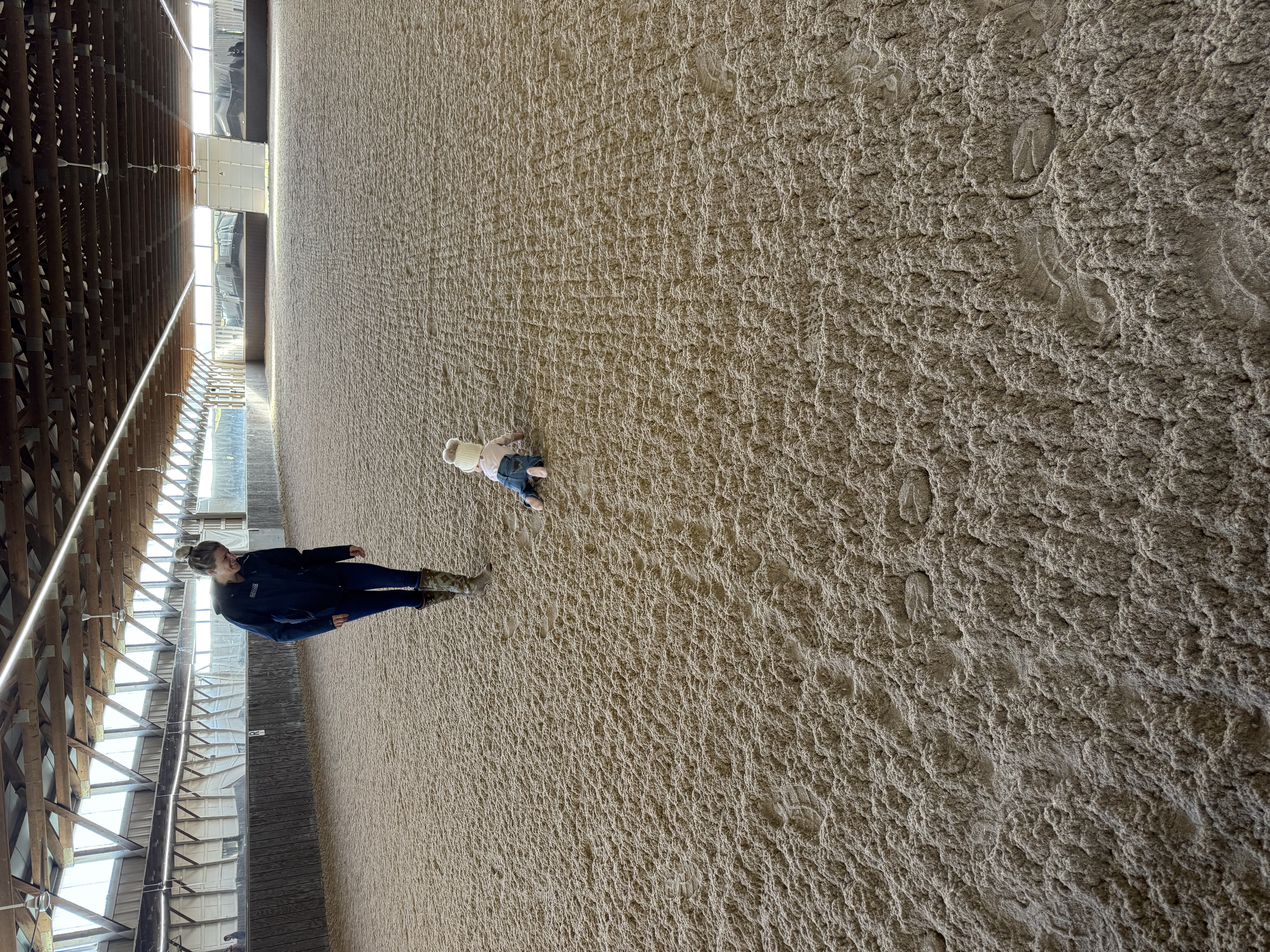 Full school Dressage ring with Pennical Footing by Attwood Equestrian services