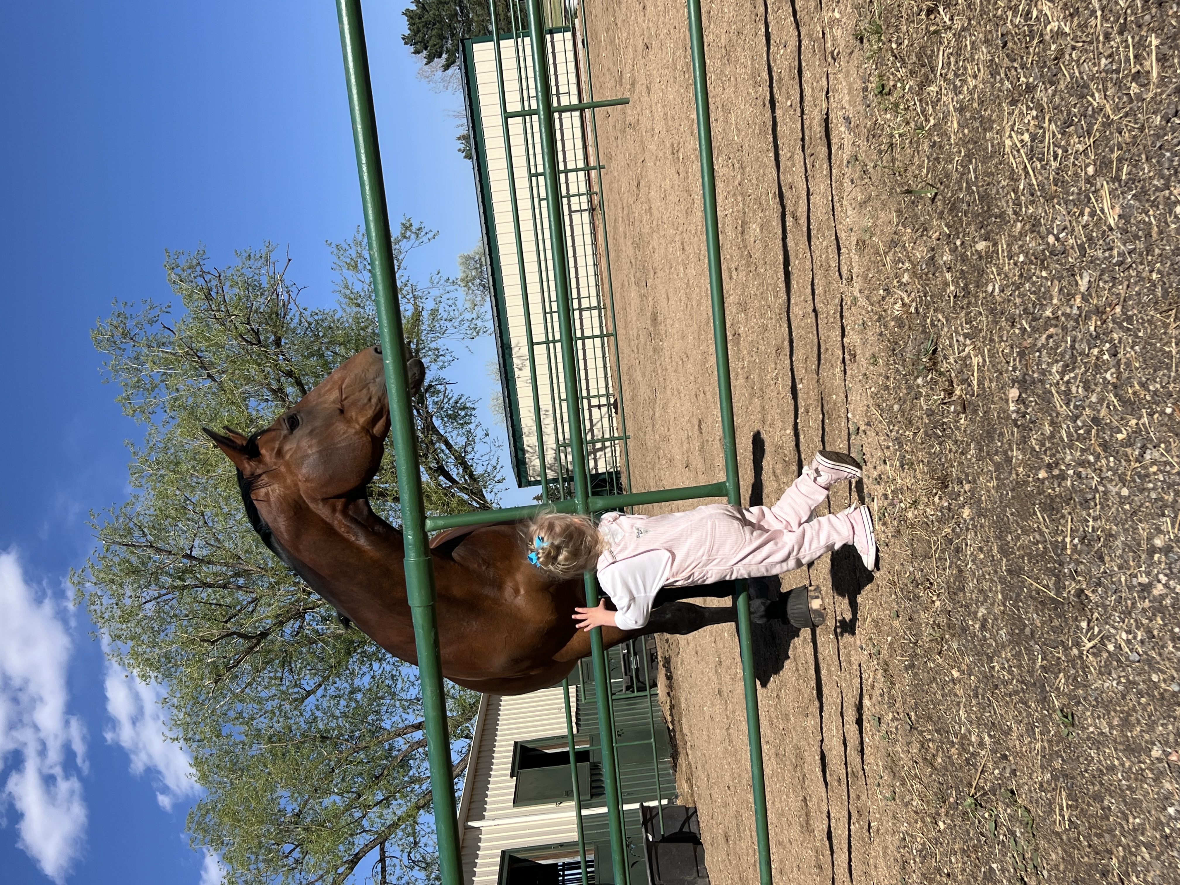 Dry lots for horses not on grass