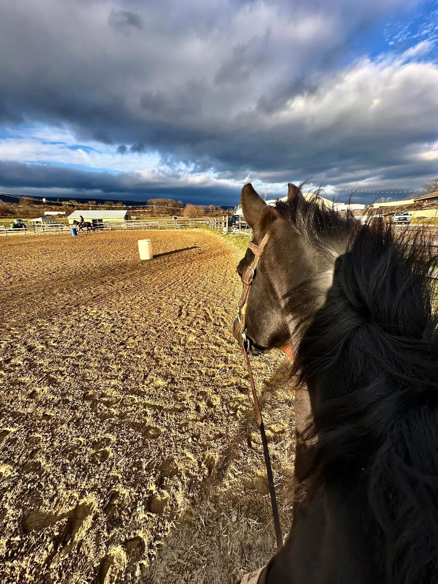 Outdoor arena